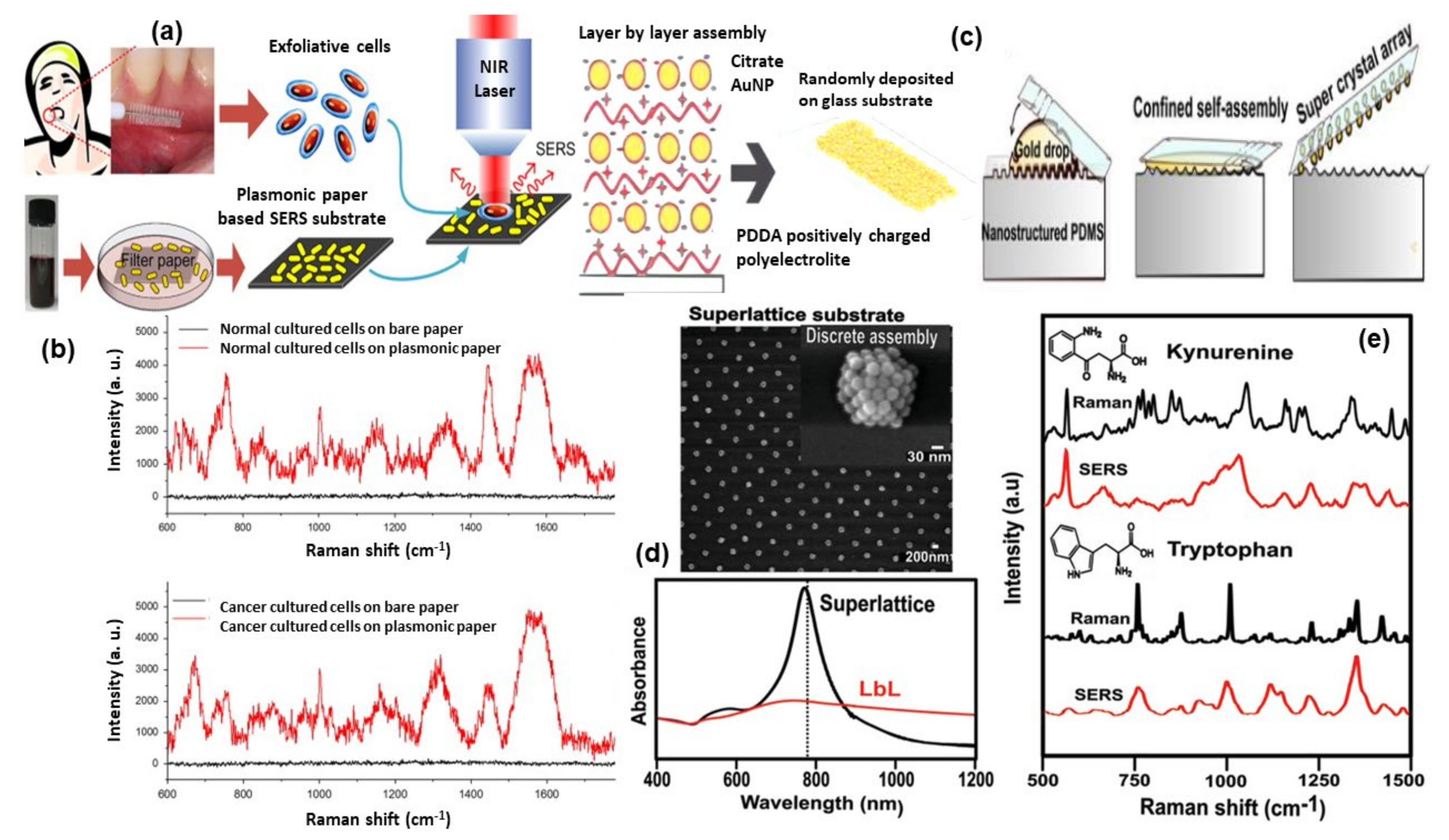 Nanomaterials 11 02679 g007