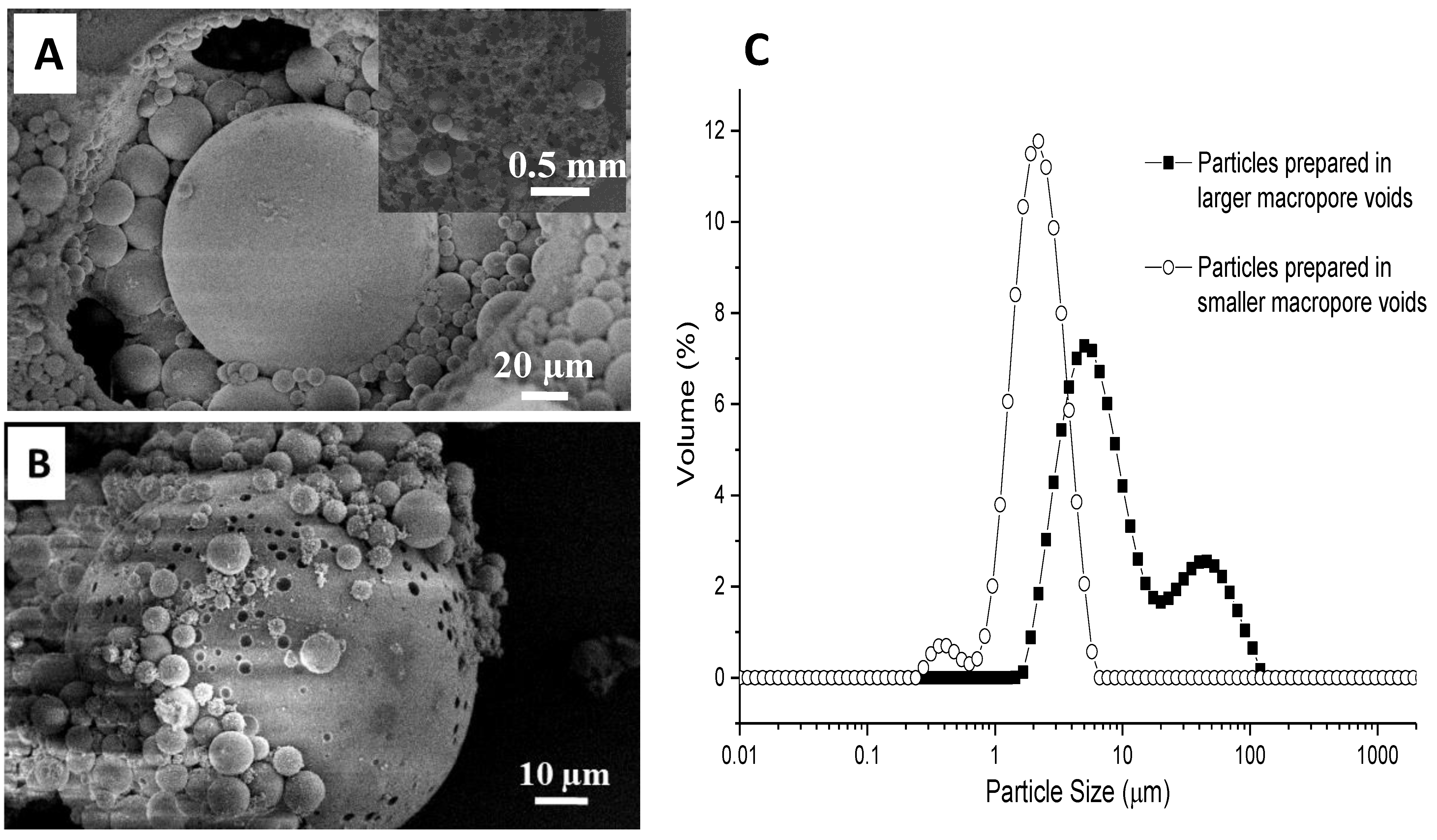 Nanomaterials 11 02681 g005