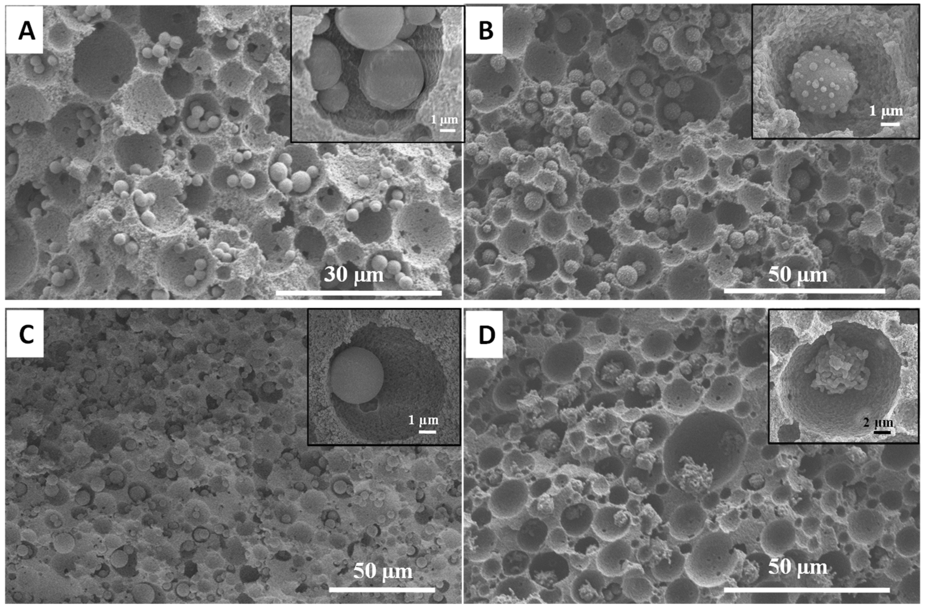 Nanomaterials 11 02681 g008