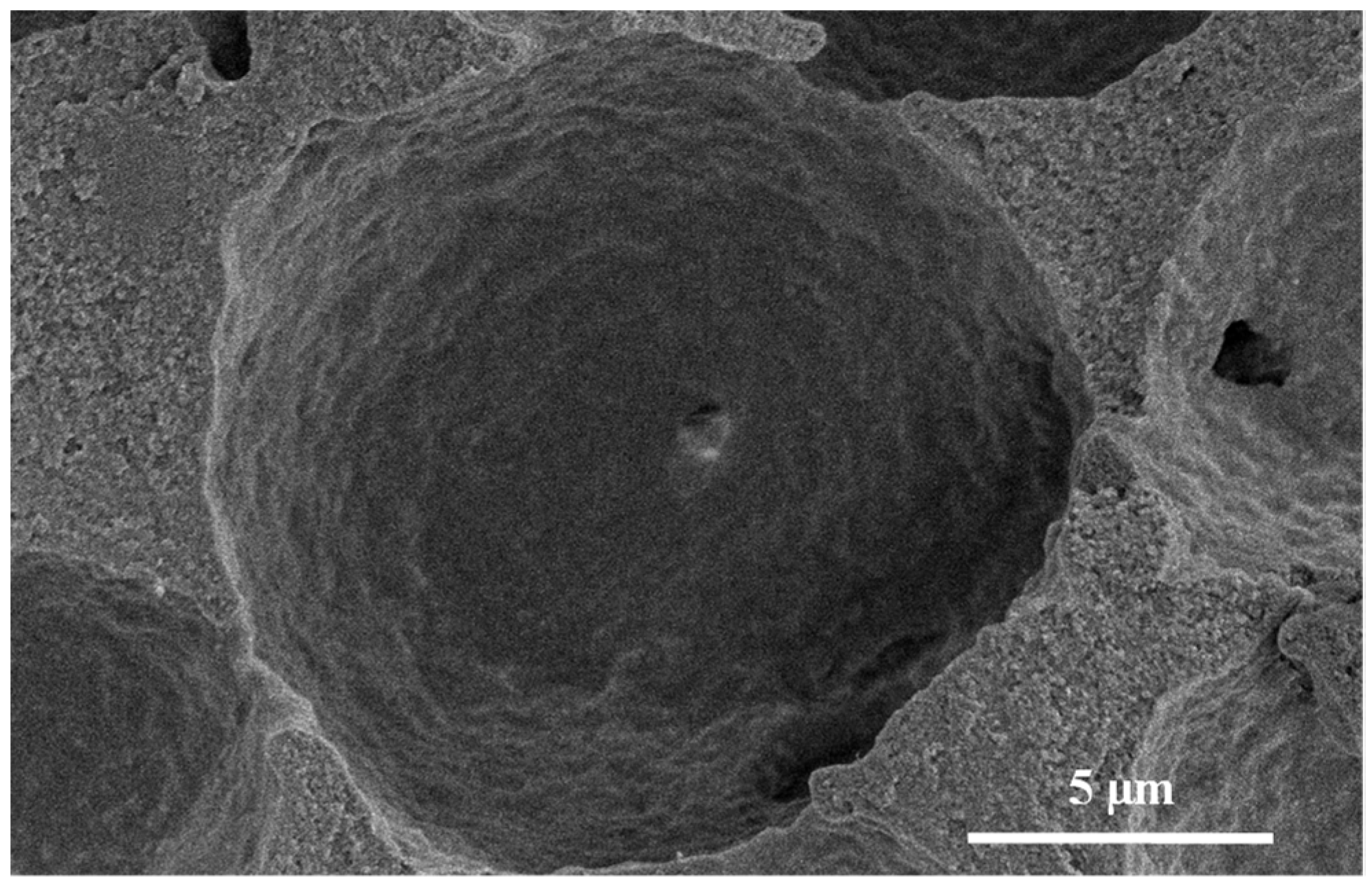 Nanomaterials 11 02681 g0a1