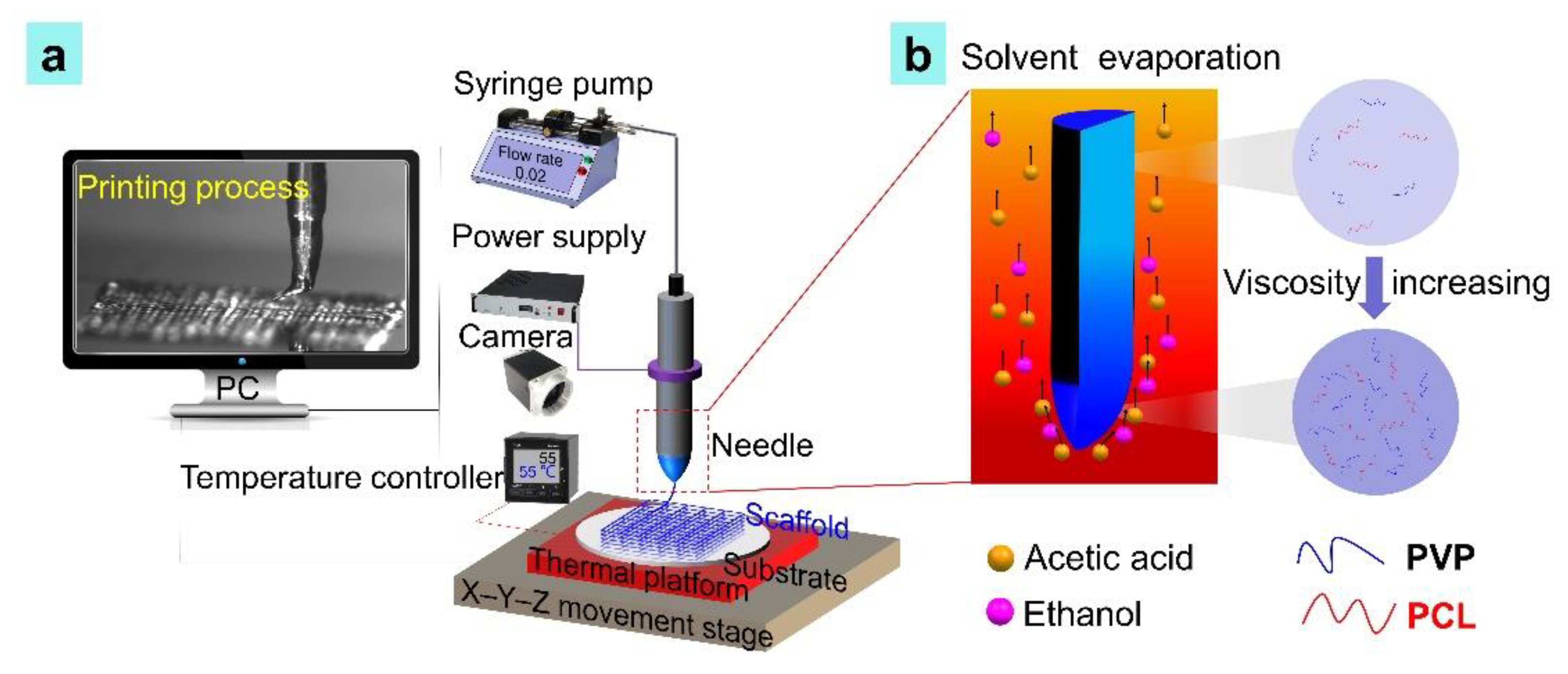 Nanomaterials 11 02694 g001