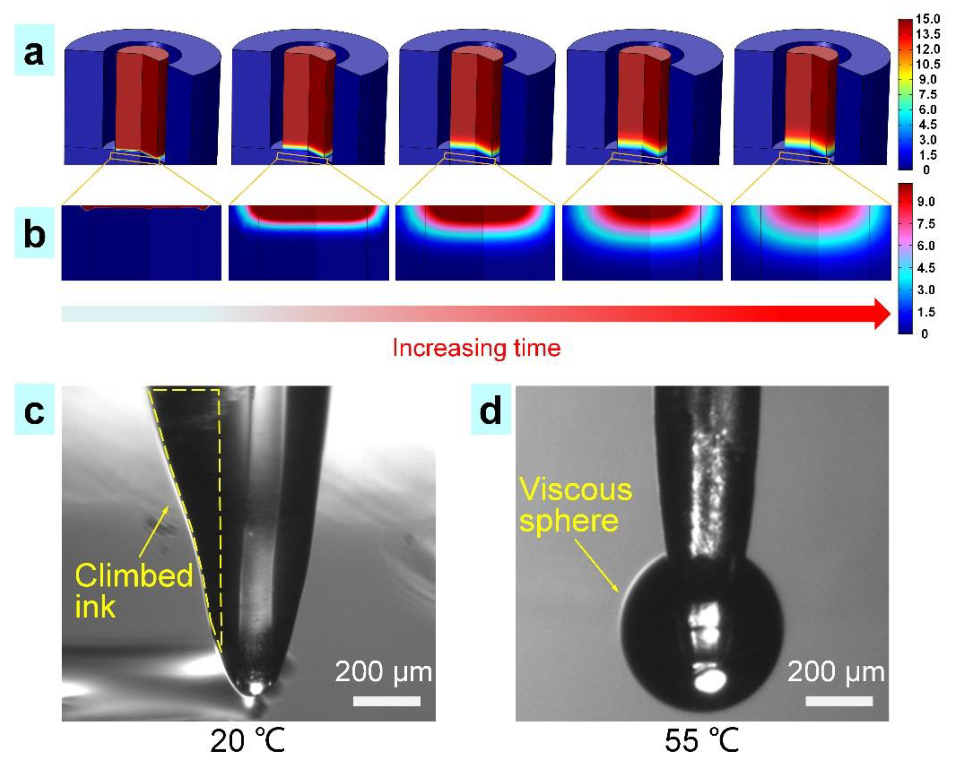 Nanomaterials 11 02694 g003