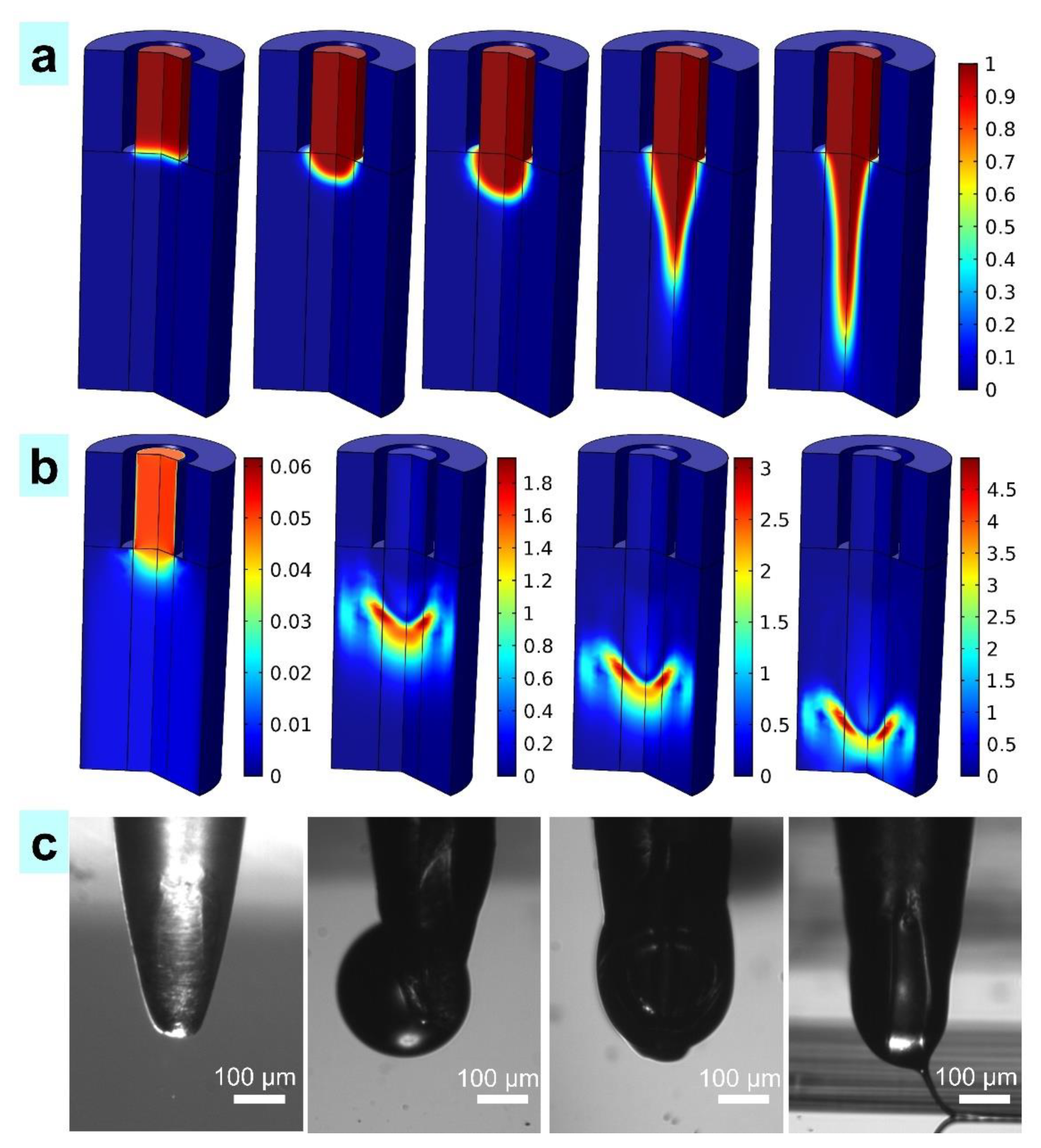 Nanomaterials 11 02694 g004