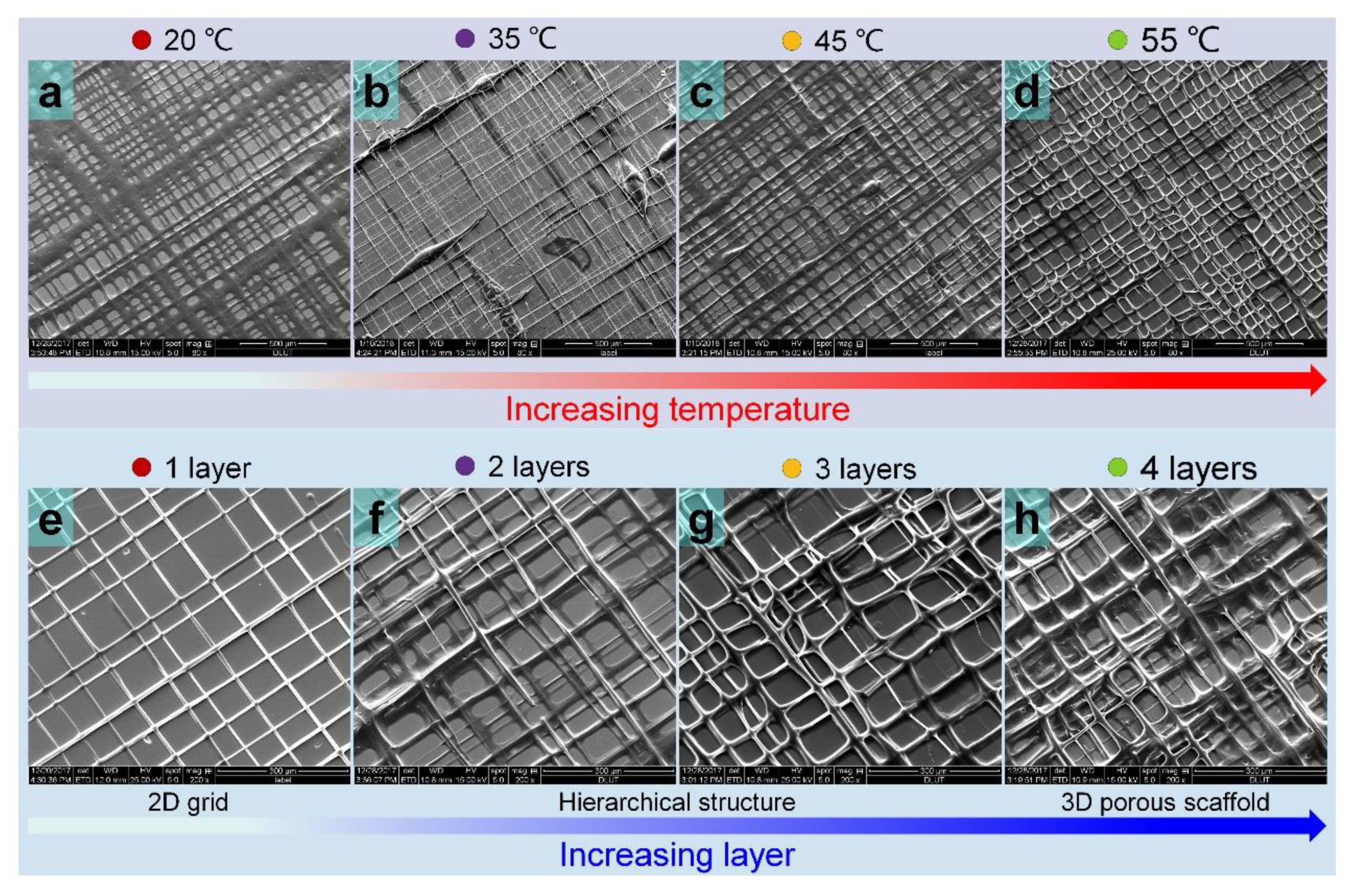Nanomaterials 11 02694 g007