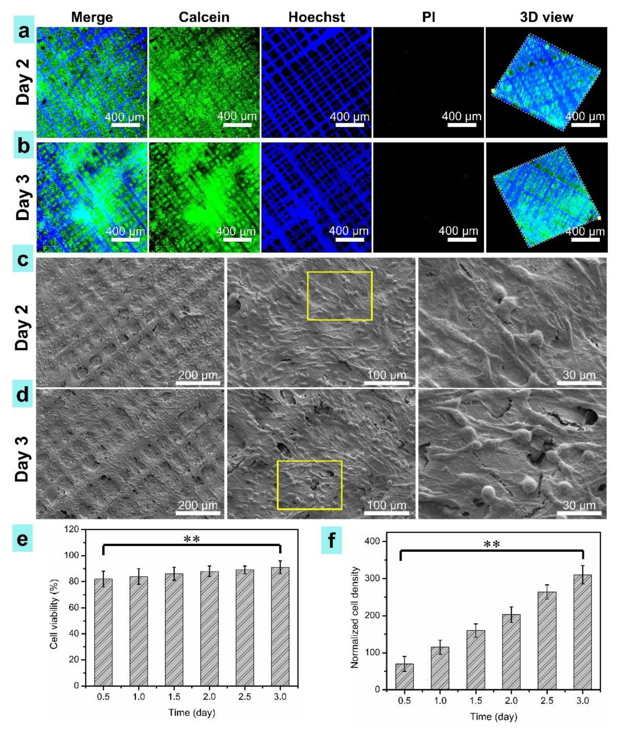 Nanomaterials 11 02694 g009