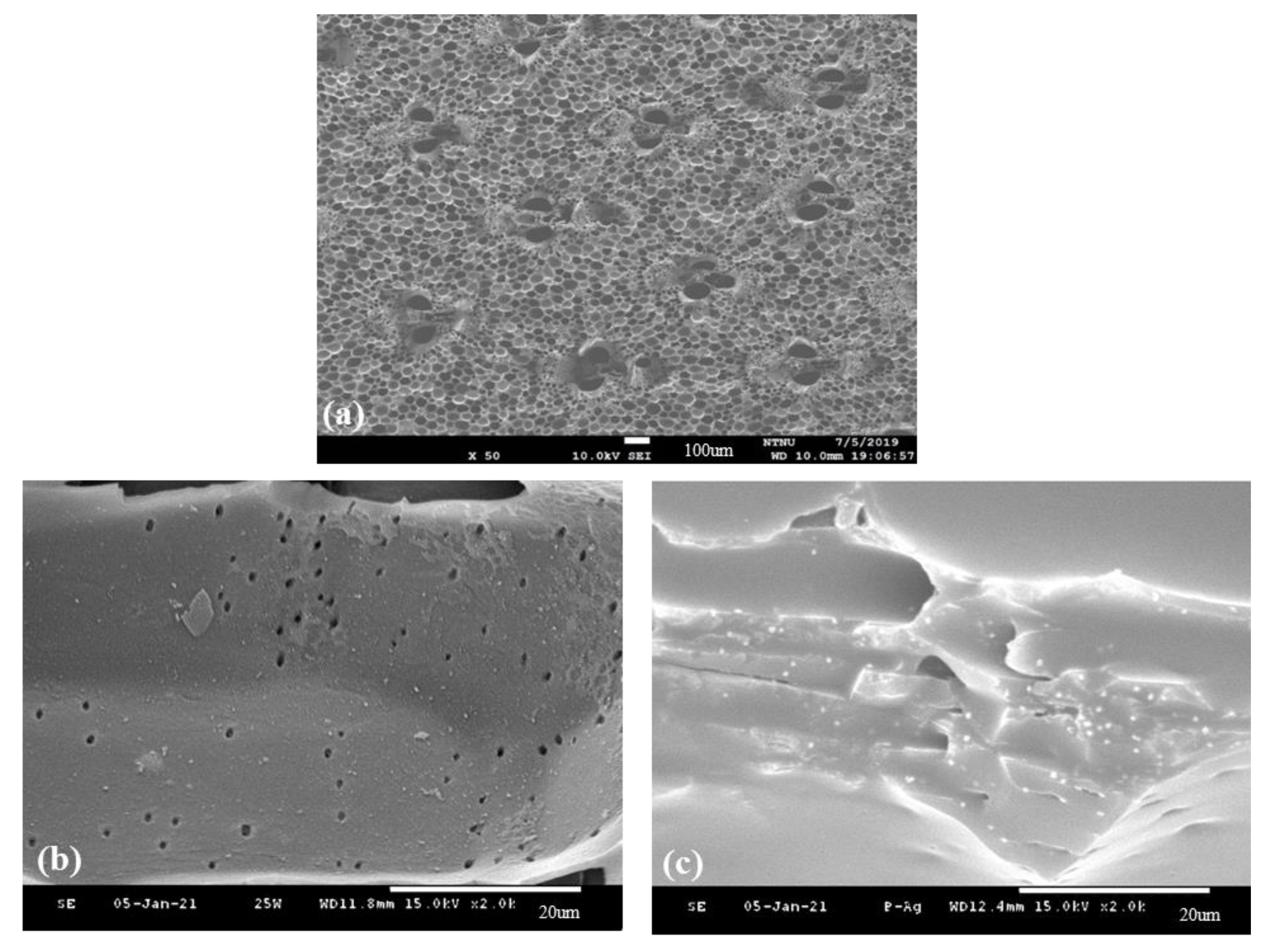 Nanomaterials 11 02697 g006