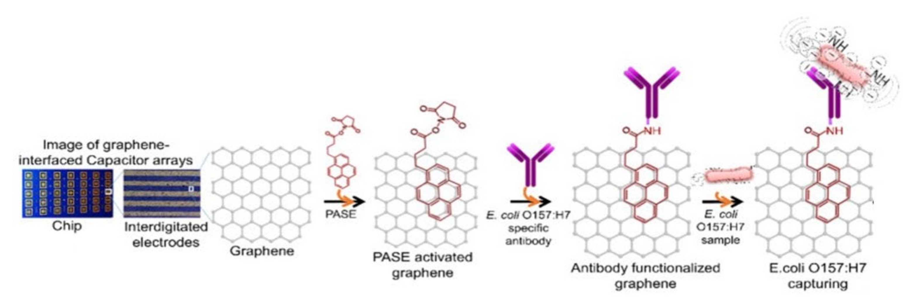 Nanomaterials 11 02700 g006