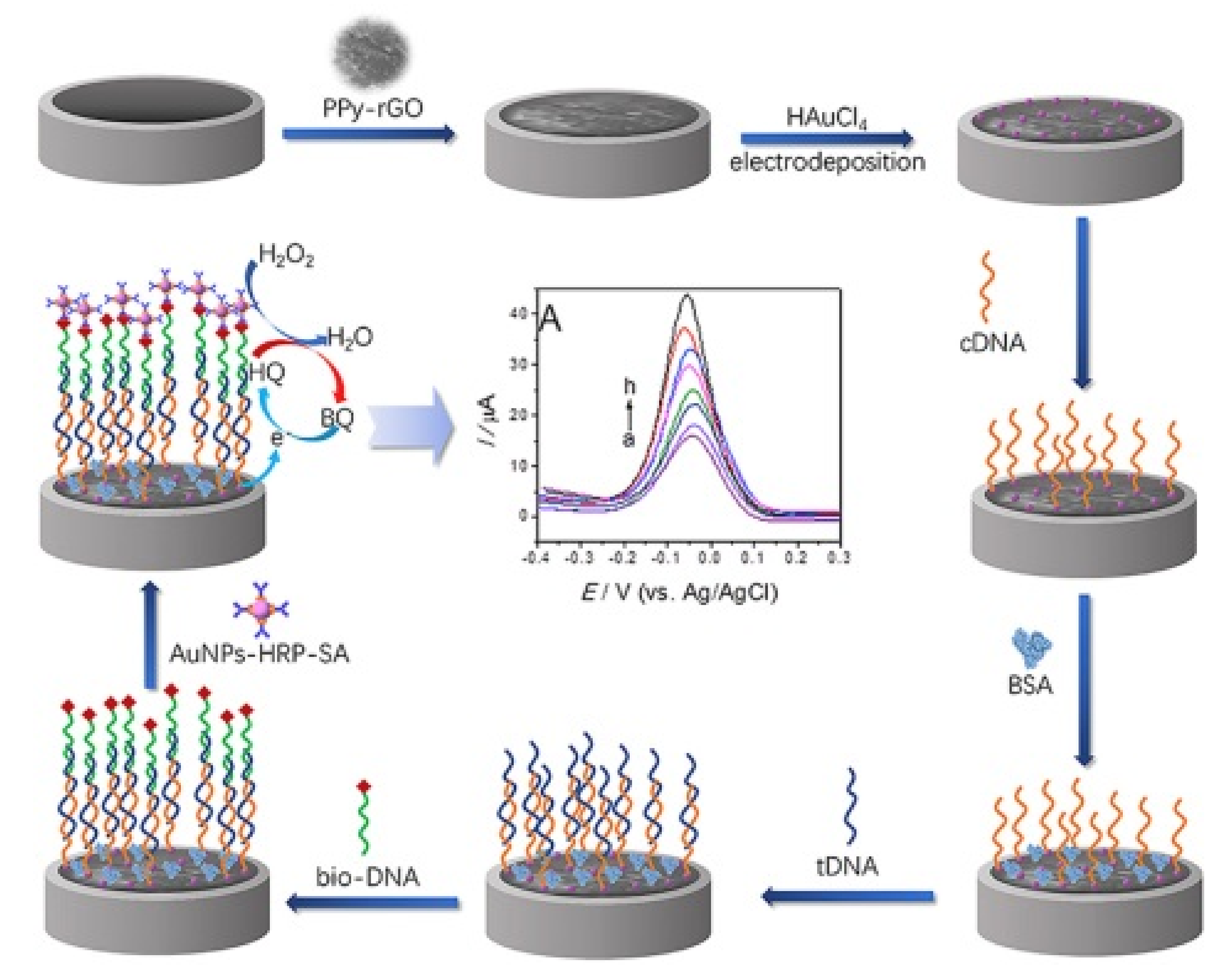 Nanomaterials 11 02700 g007