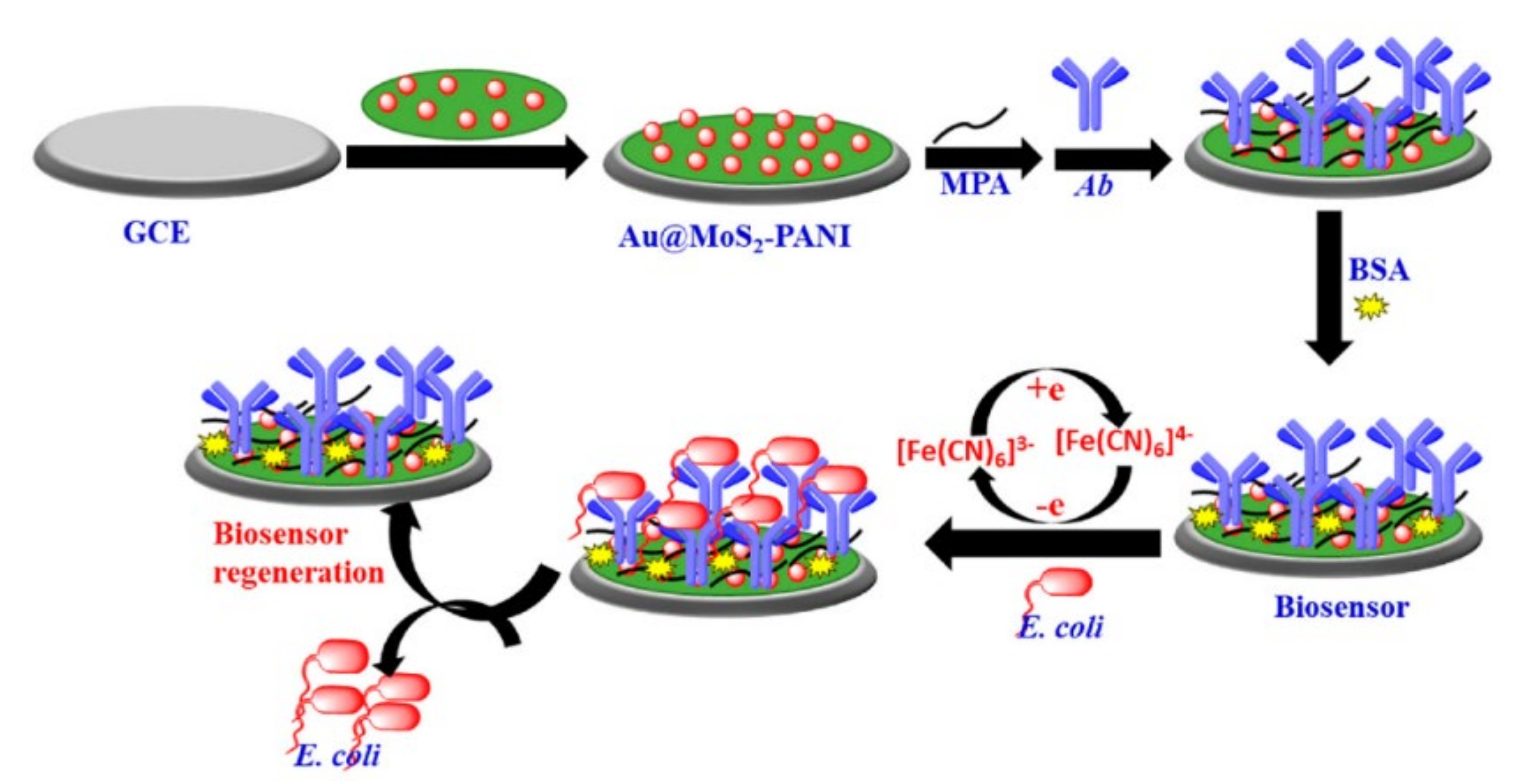 Nanomaterials 11 02700 g009