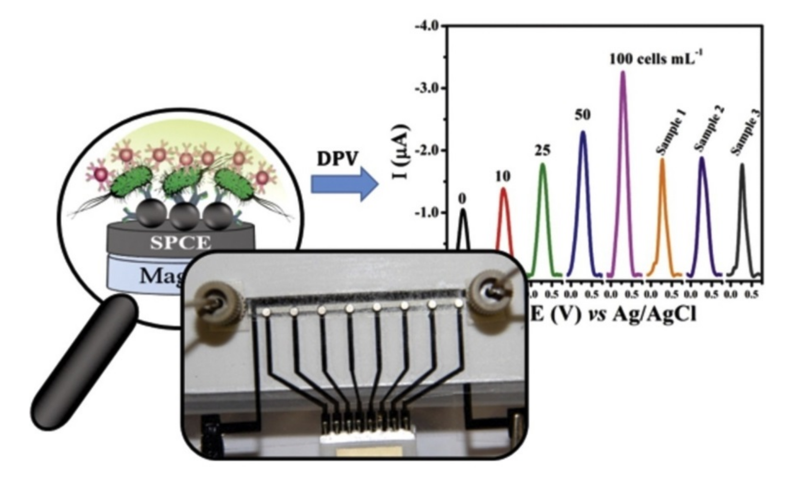 Nanomaterials 11 02700 g010