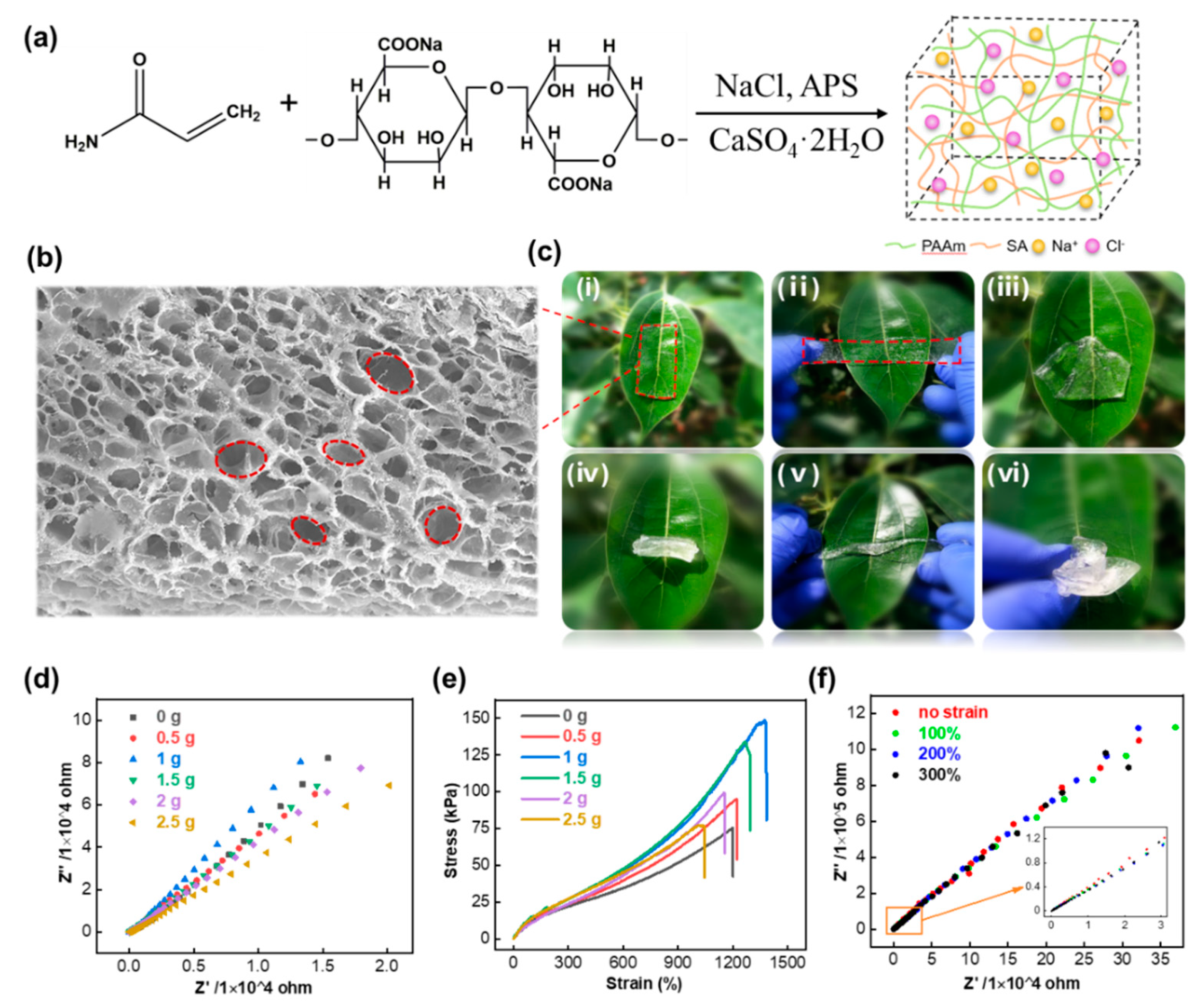 Nanomaterials 11 02711 g001