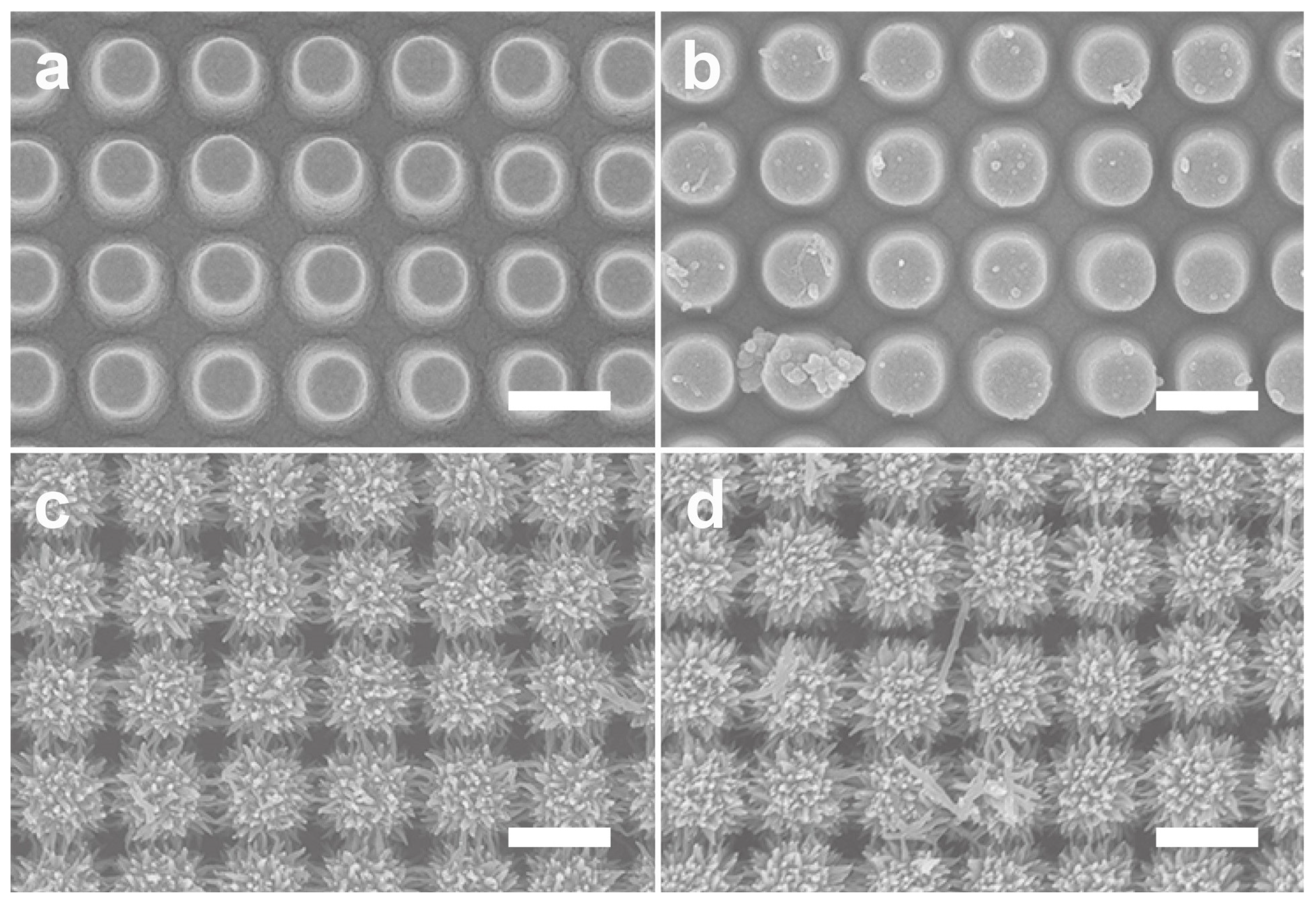 Nanomaterials 11 02716 g005