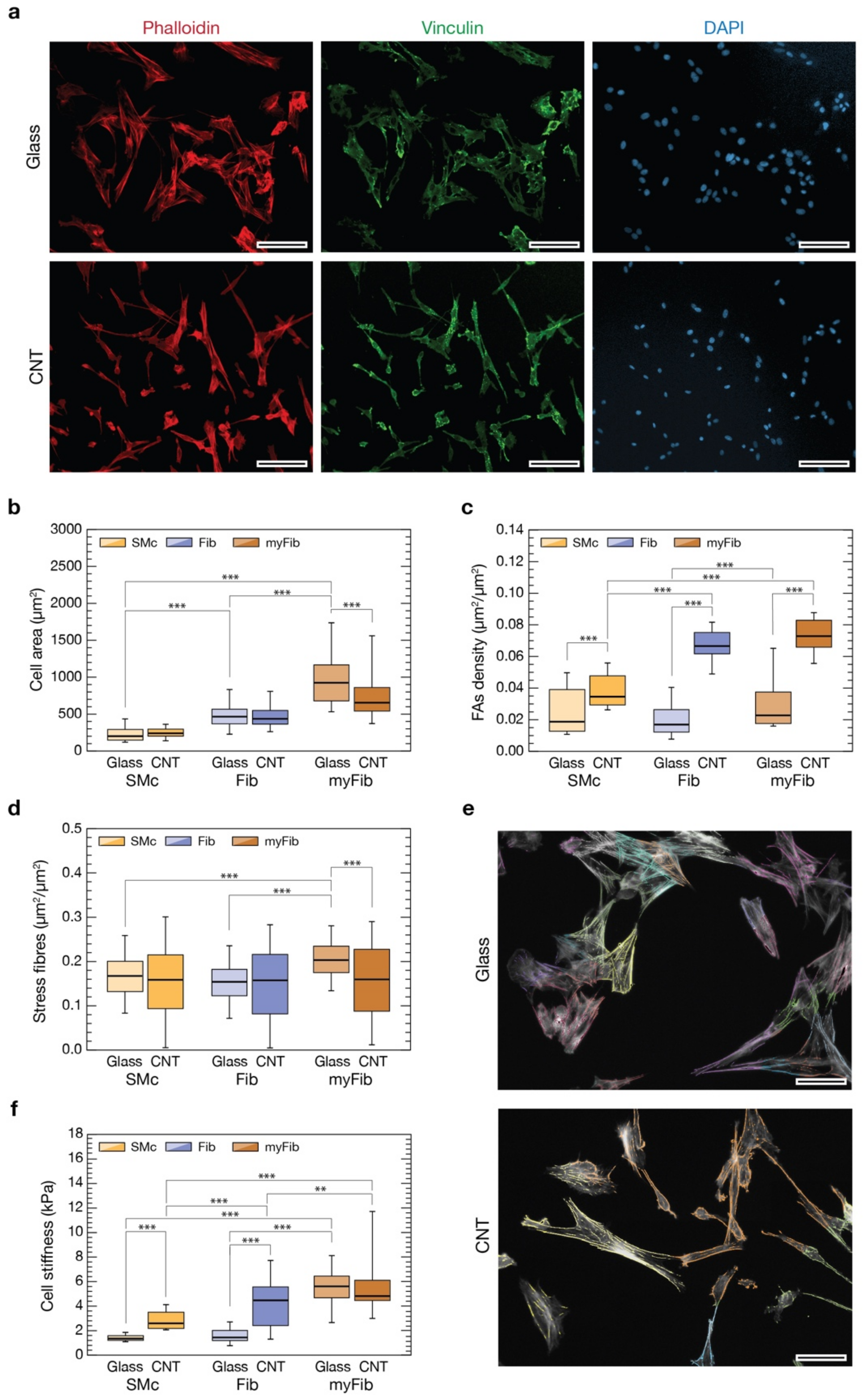 Nanomaterials 11 02724 g003