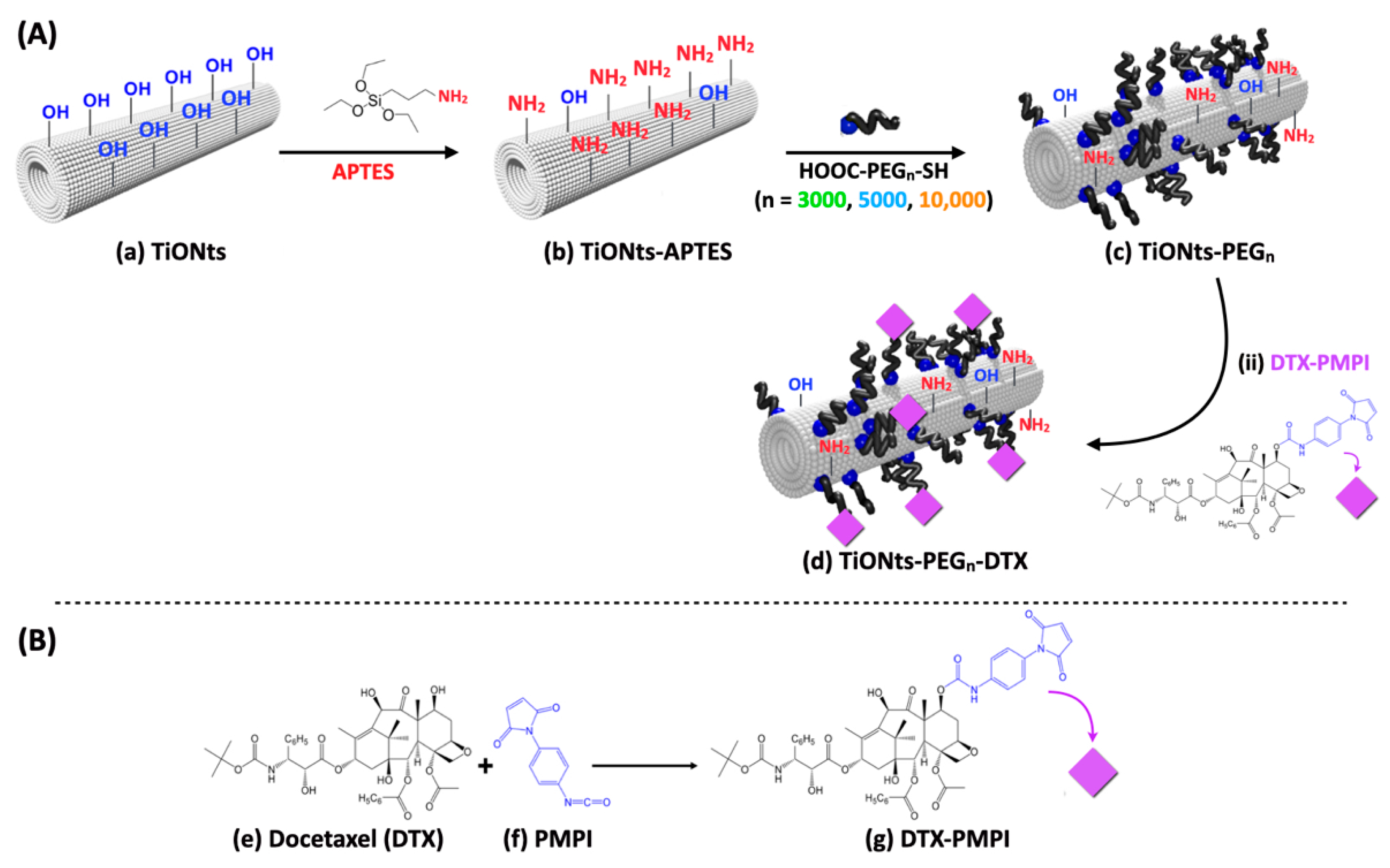 Nanomaterials 11 02733 g001