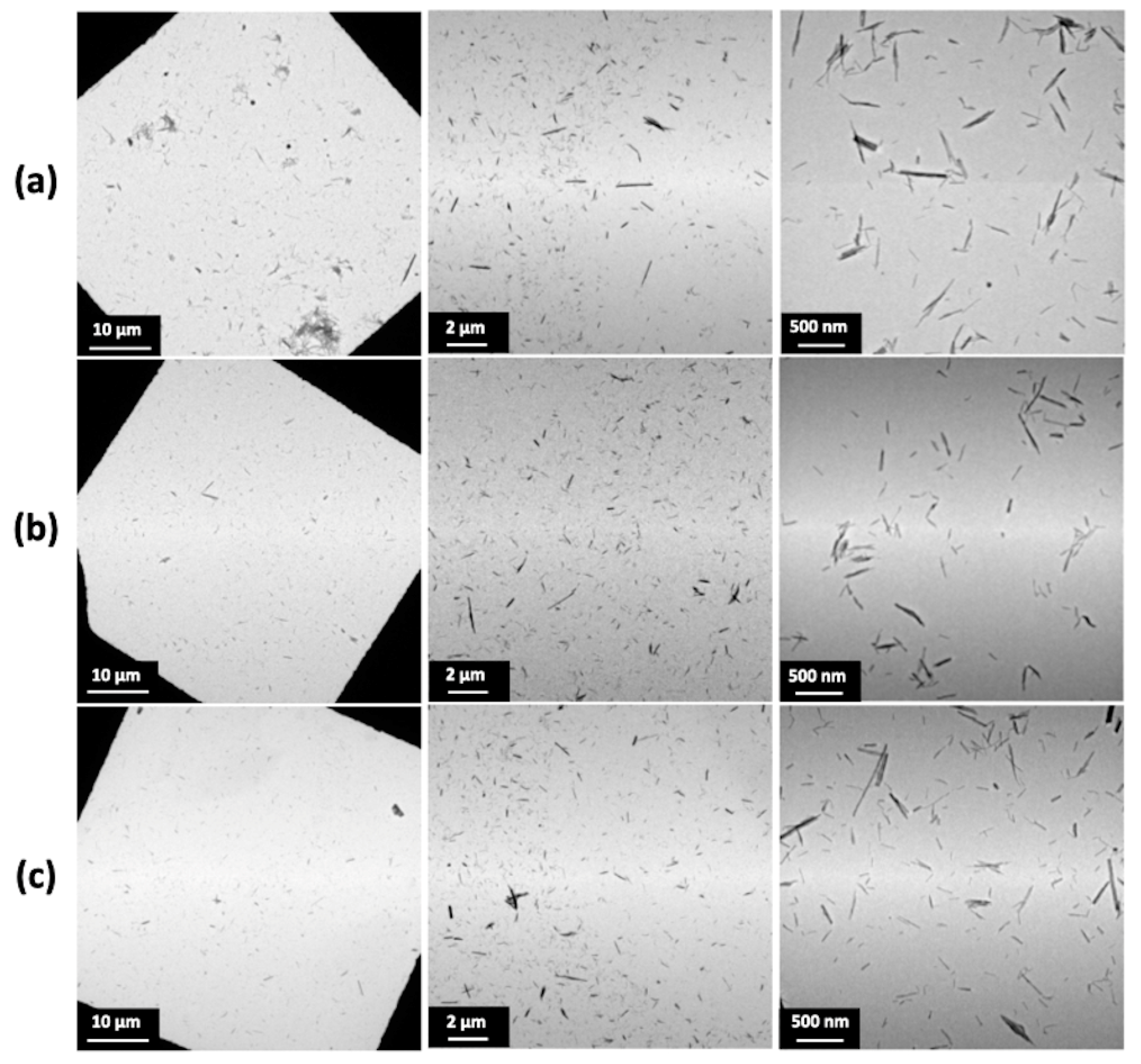 Nanomaterials 11 02733 g005