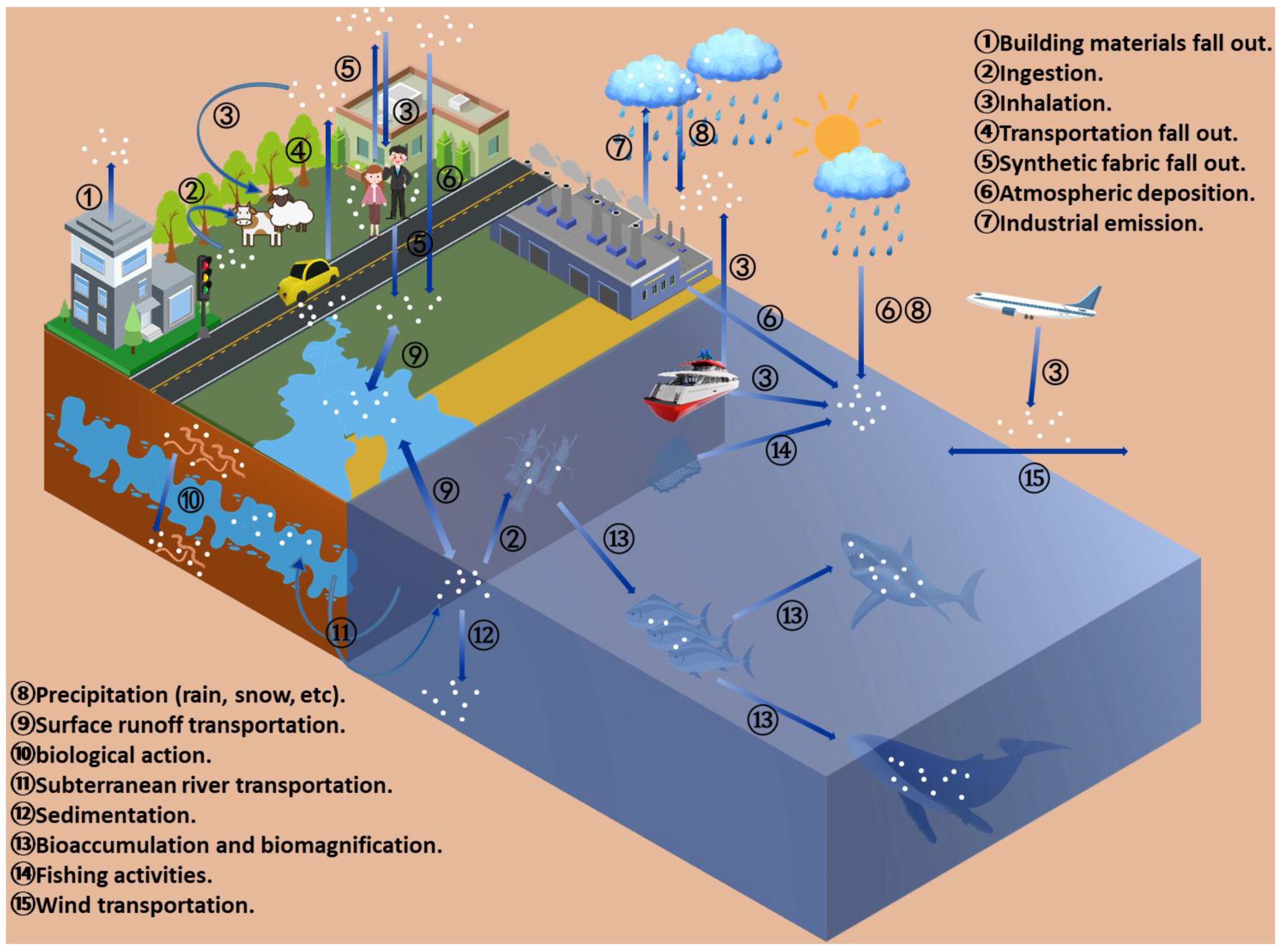 Nanomaterials | Free Full-Text | Characteristics, Toxic Effects, and  Analytical Methods of Microplastics in the Atmosphere | HTML