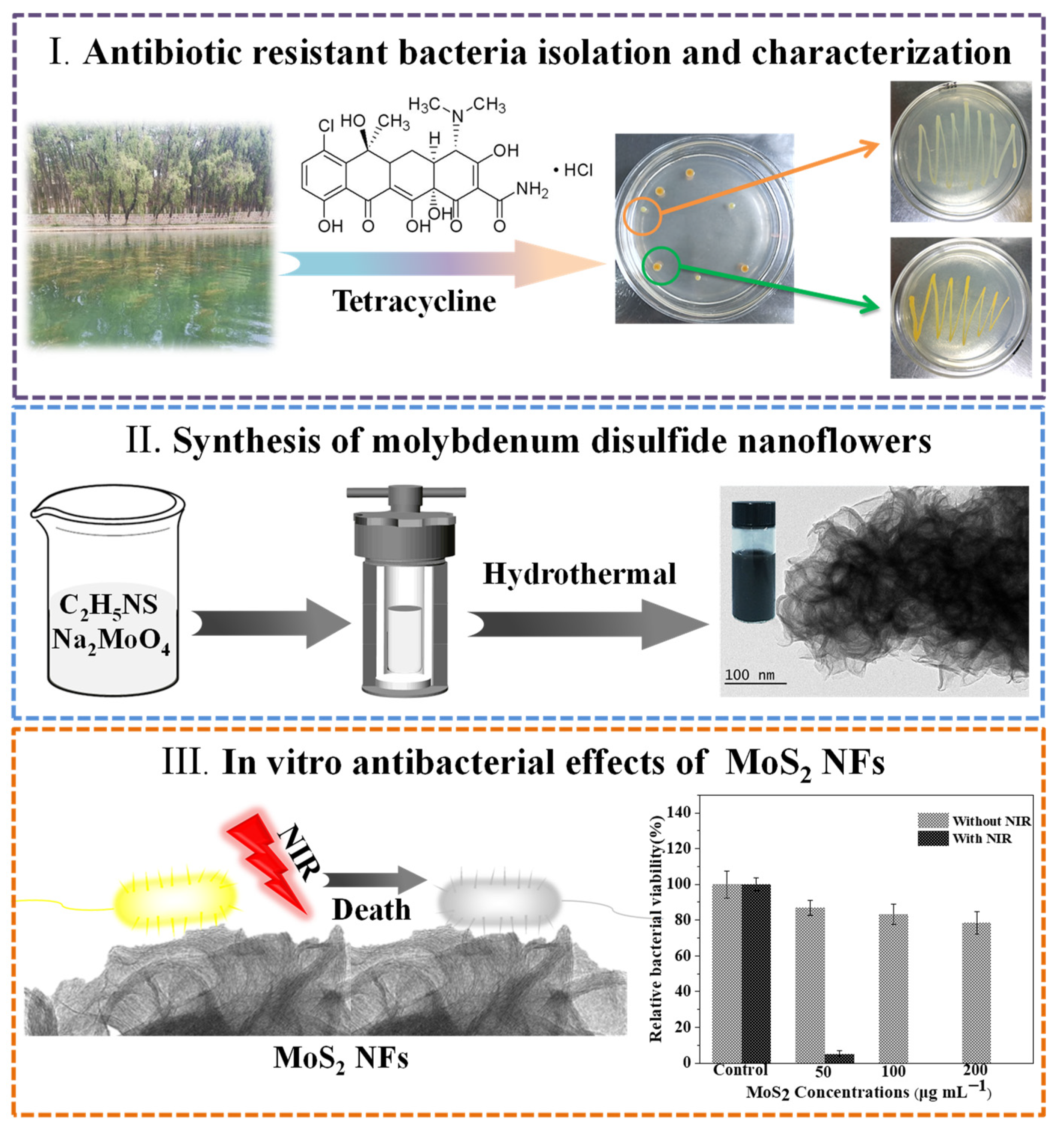 A multifunctional Fe2O3@MoS2@SDS Z-scheme nanocomposite: NIR enhanced  bacterial inactivation, degradation antibiotics and inhibiting ARGs  dissemination - ScienceDirect