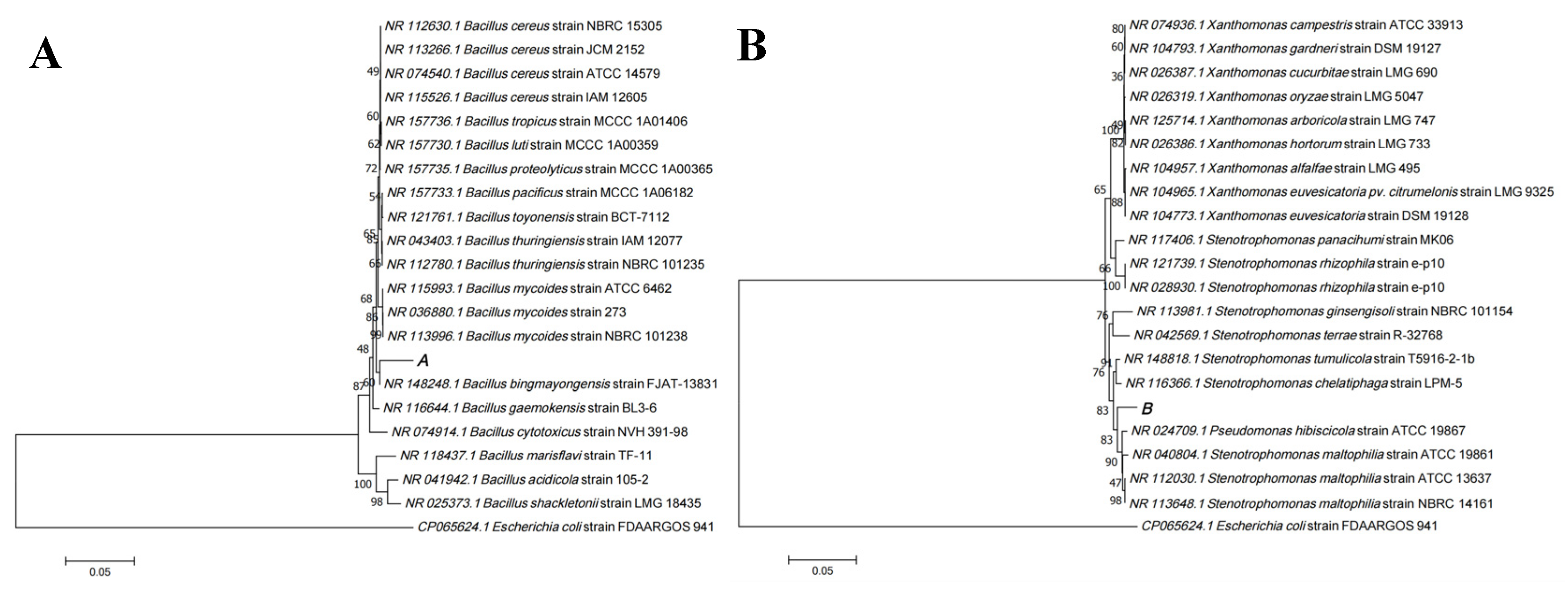 Nanomaterials 11 02829 g002