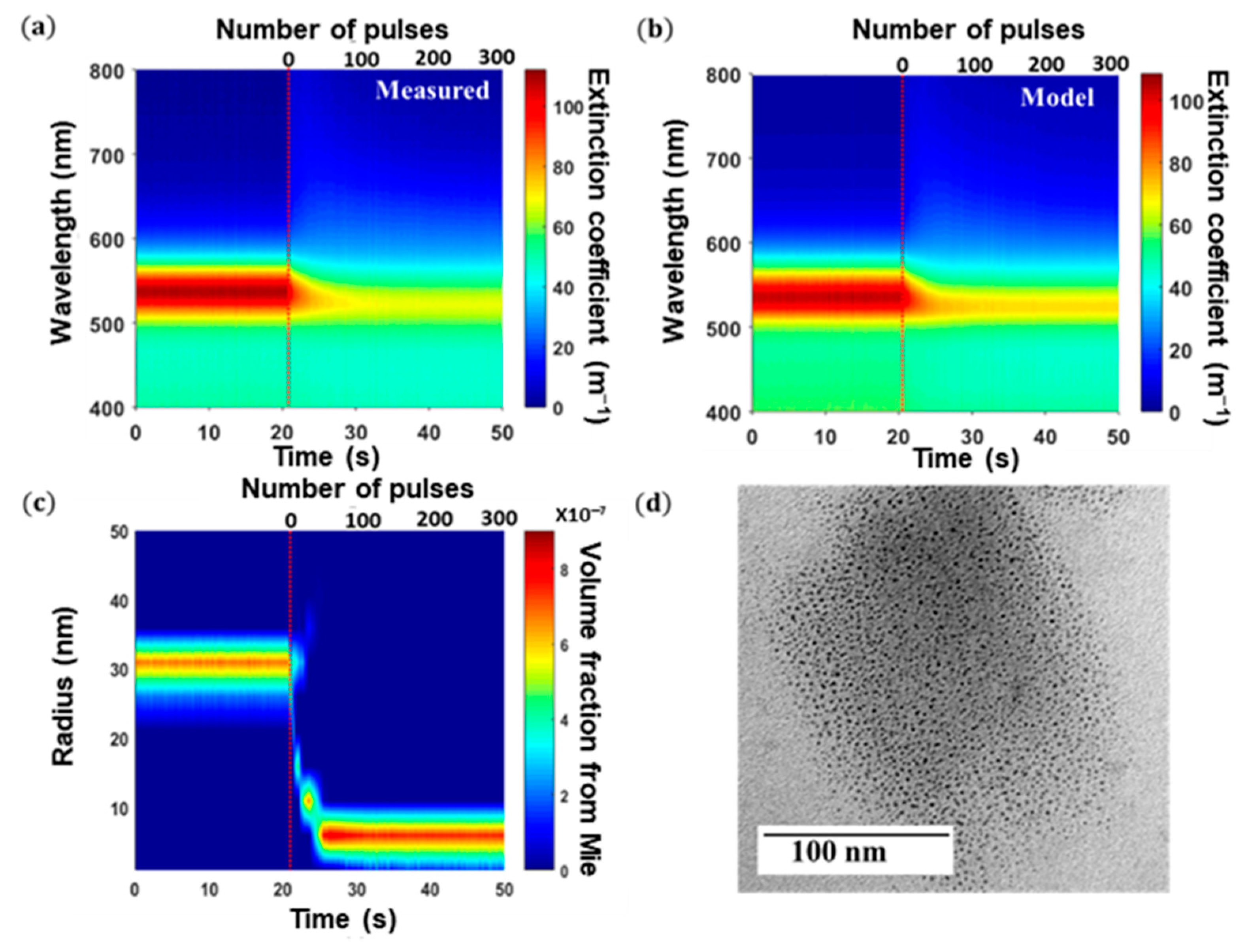 Nanomaterials 11 02872 g010