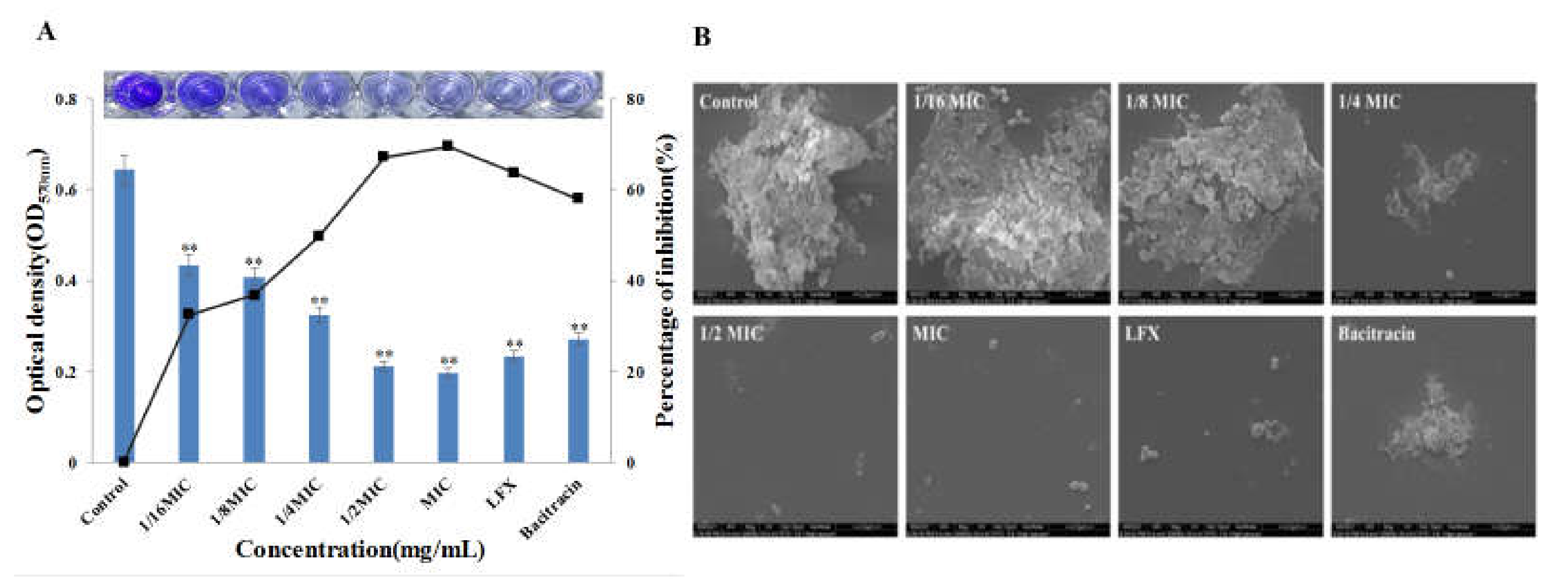 Nanomaterials 11 02928 g006