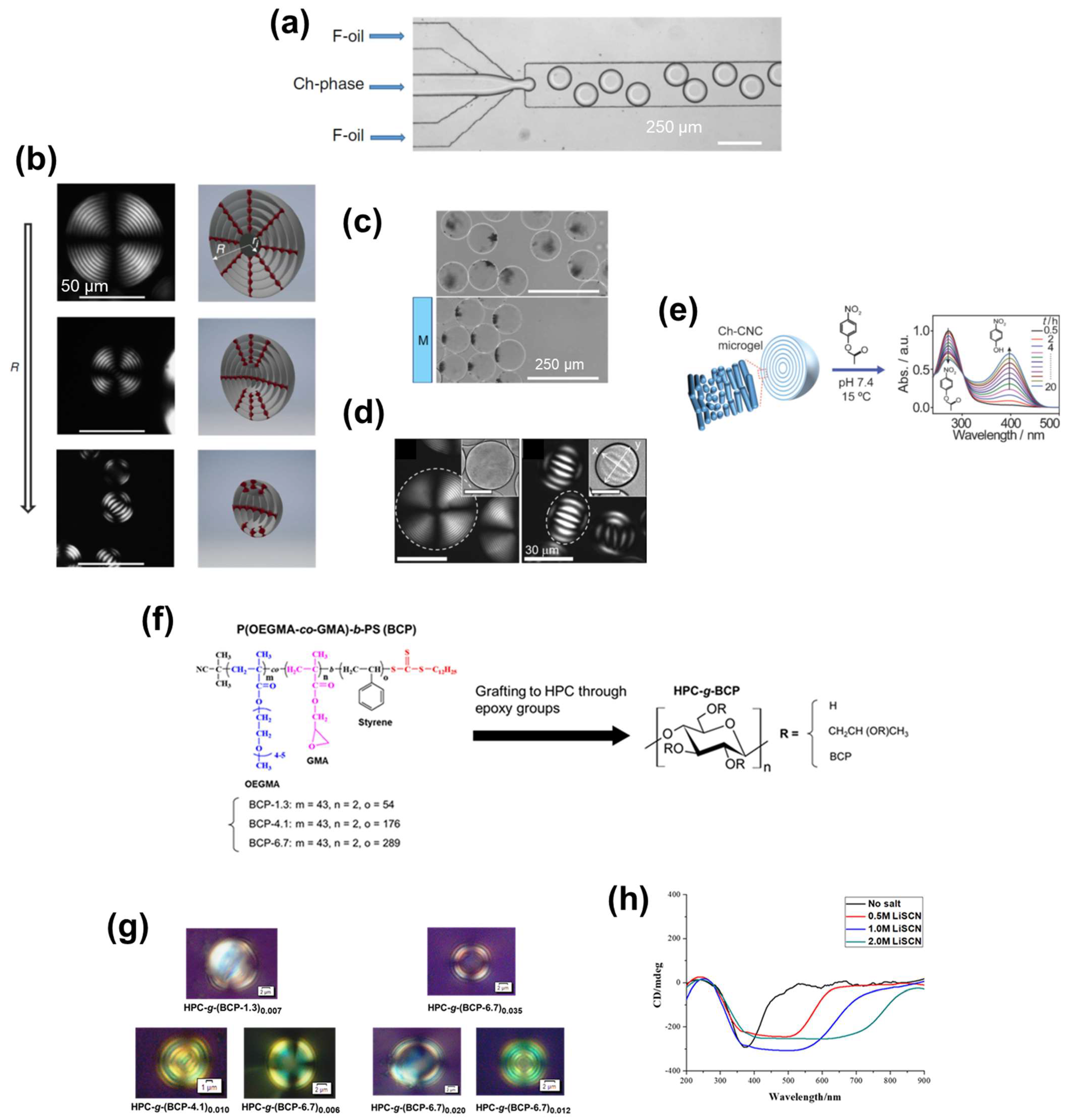 Nanomaterials Free Full Text Construction Of Functional Materials In Various Material Forms From Cellulosic Cholesteric Liquid Crystals Html