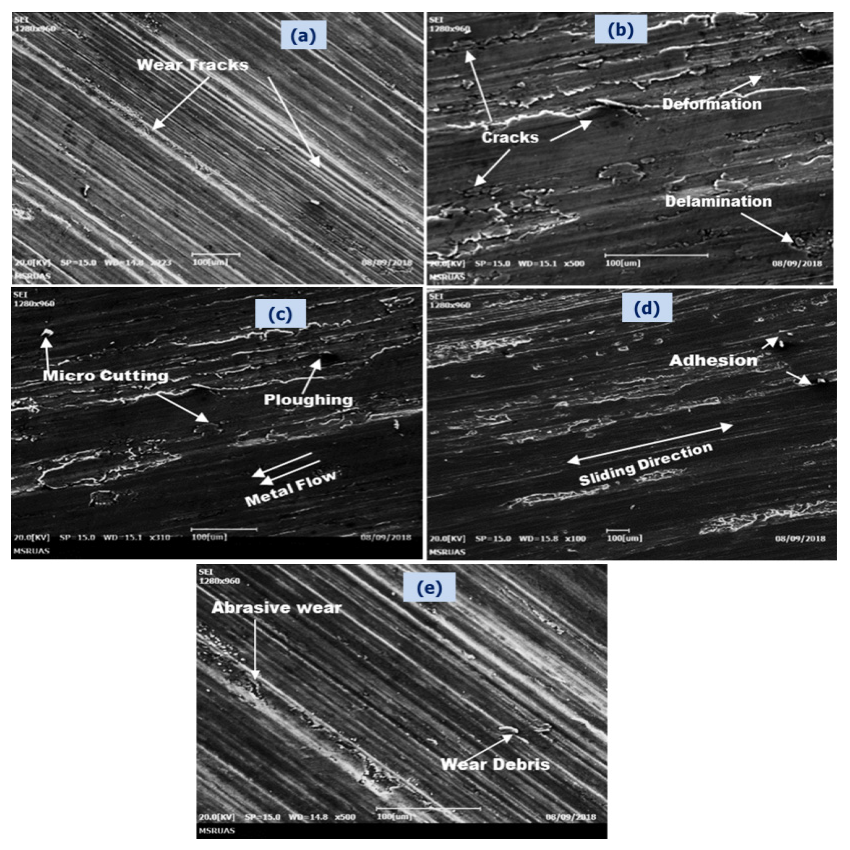 Nanomaterials 11 03039 g010