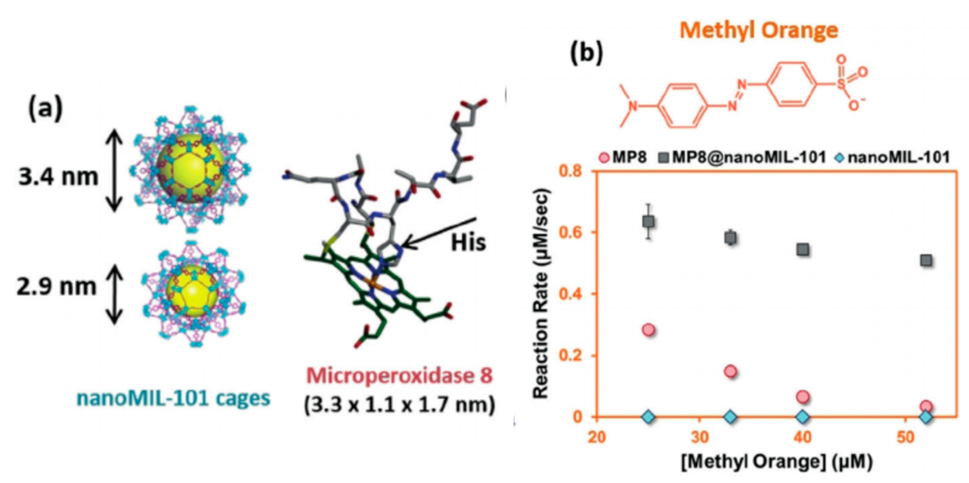 Nanomaterials 11 03124 g005
