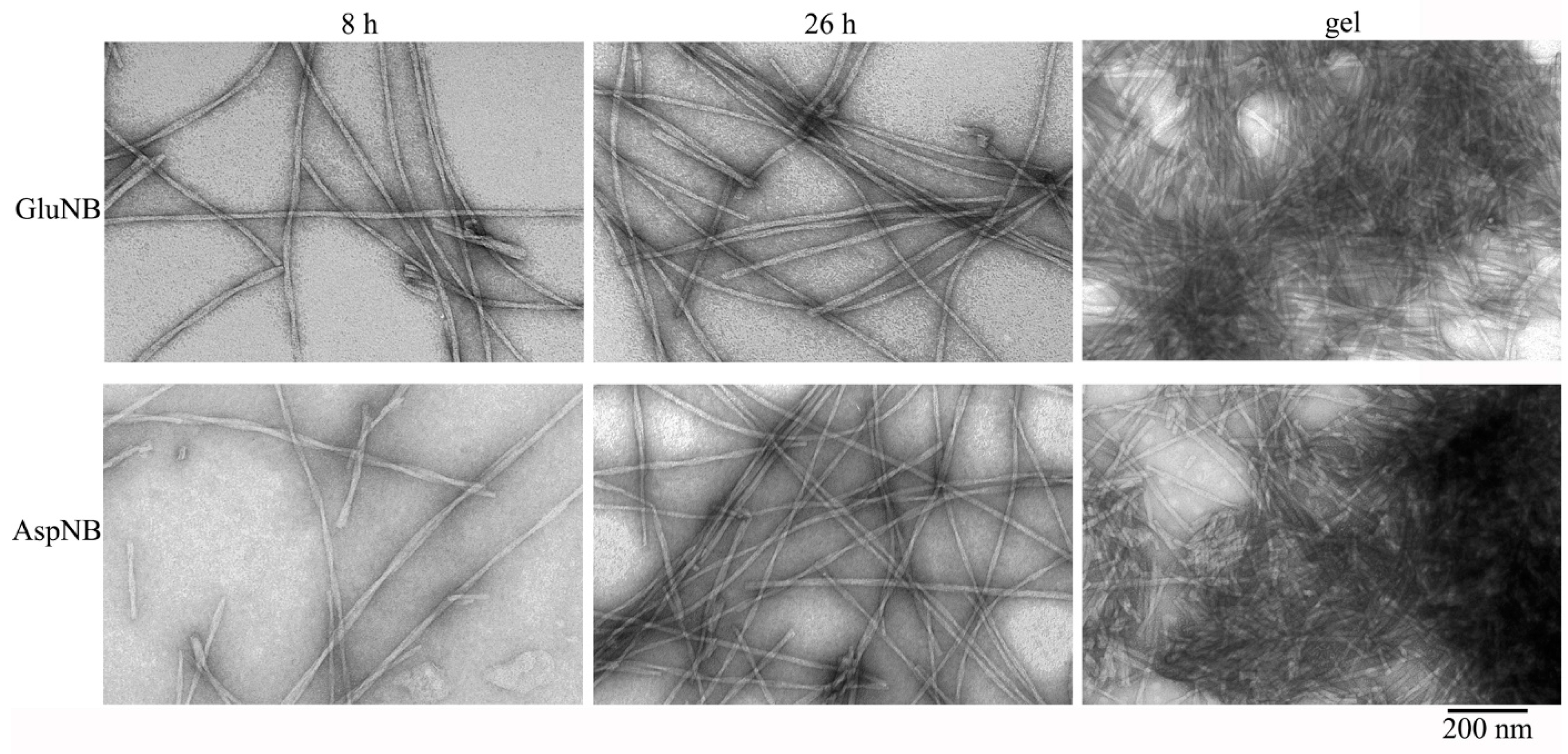 Nanomaterials 11 03129 g001
