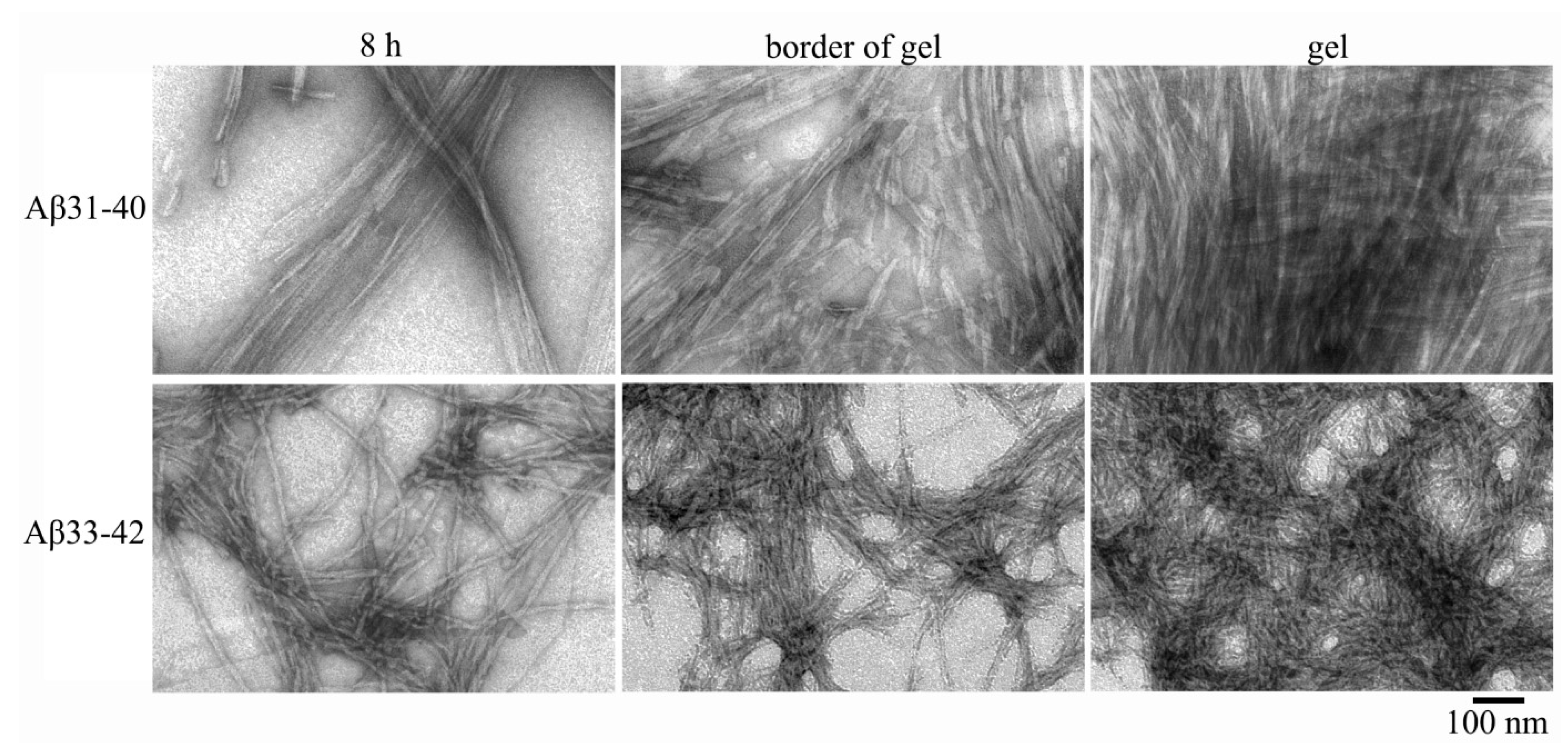 Nanomaterials 11 03129 g004