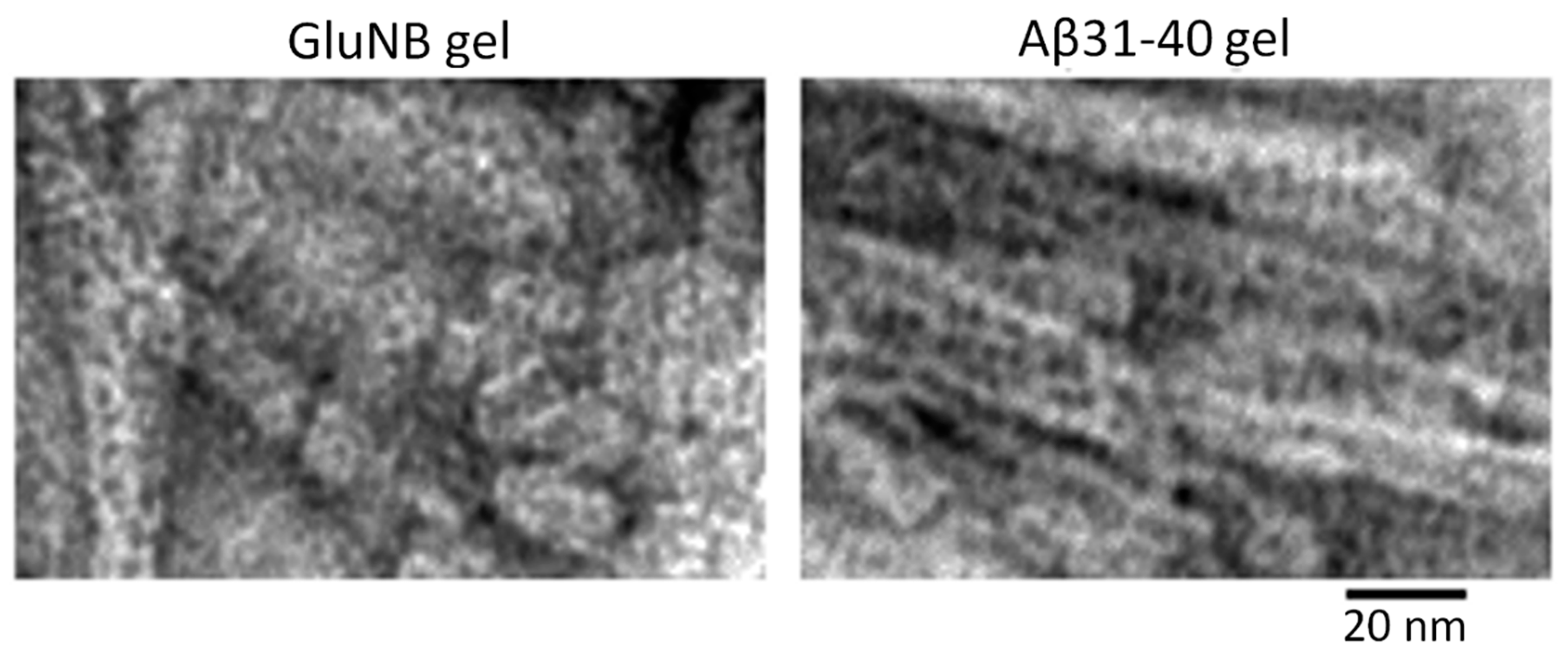 Nanomaterials 11 03129 g006