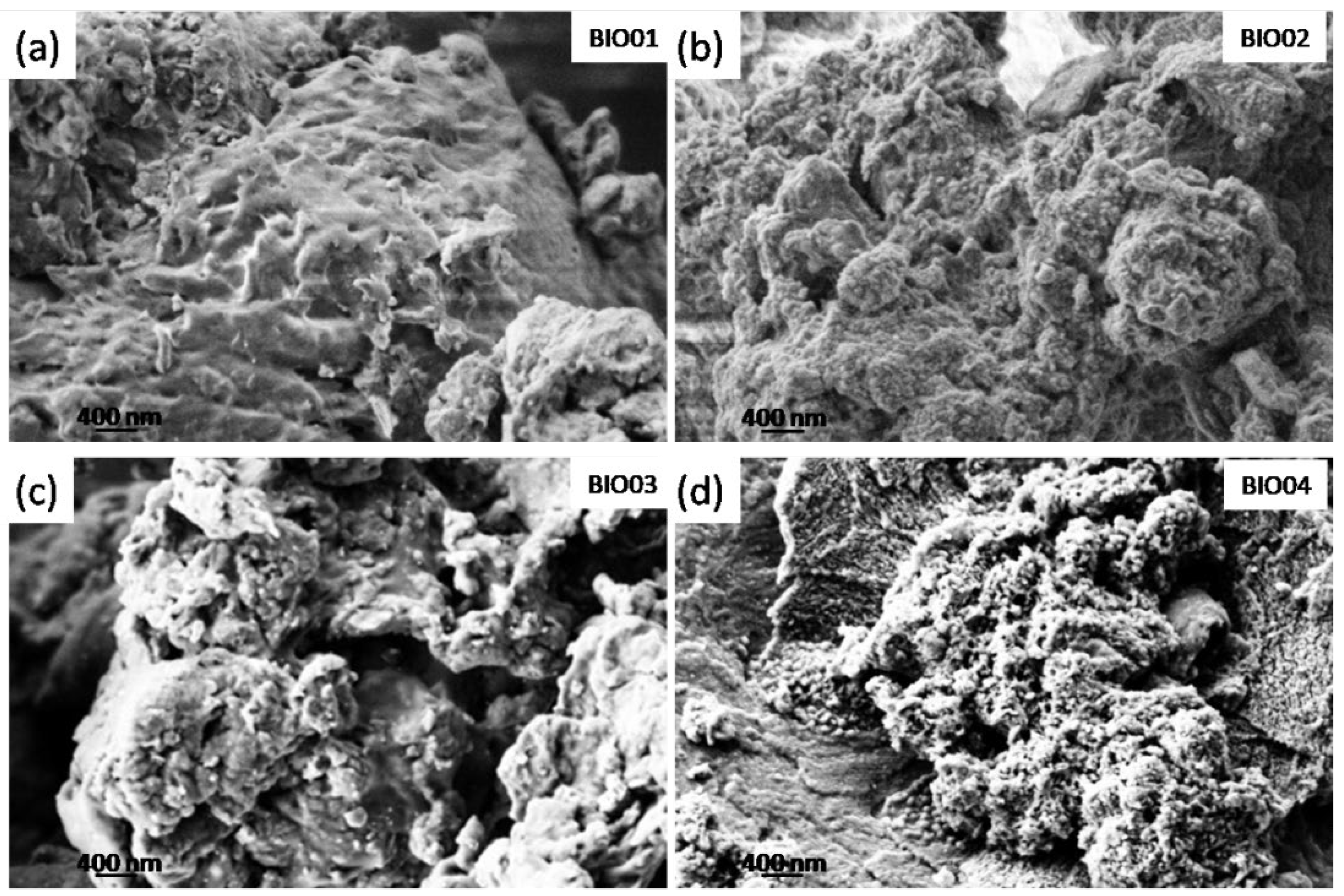 Nanomaterials 11 03183 g001