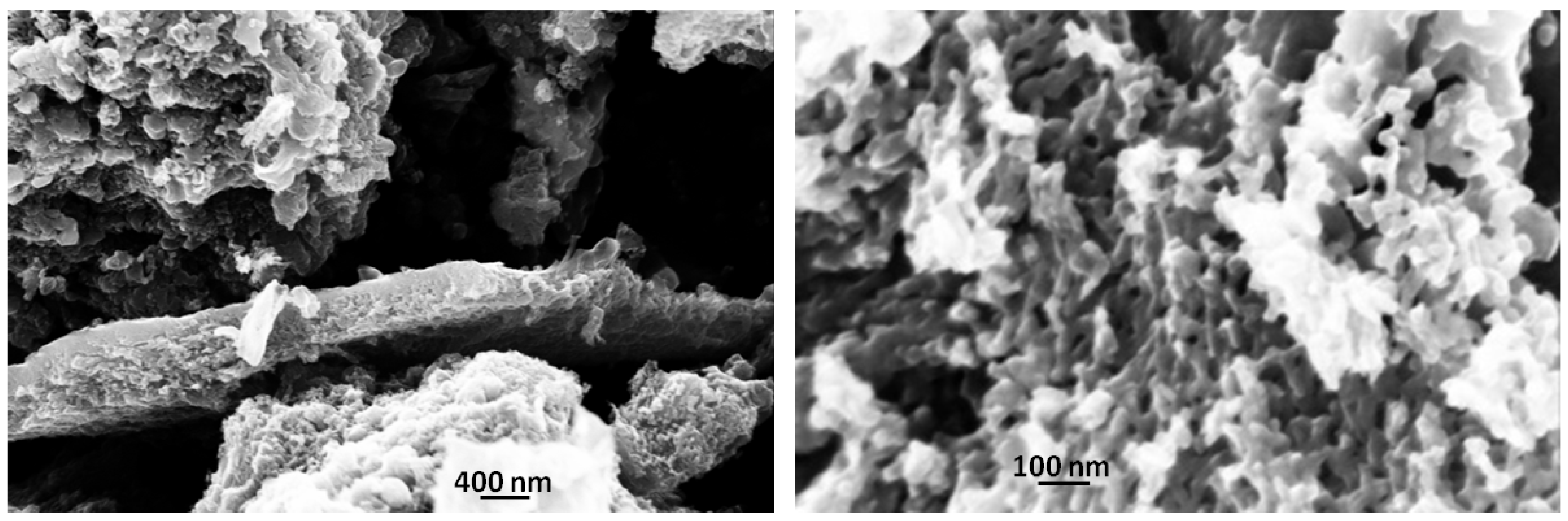 Nanomaterials 11 03183 g004