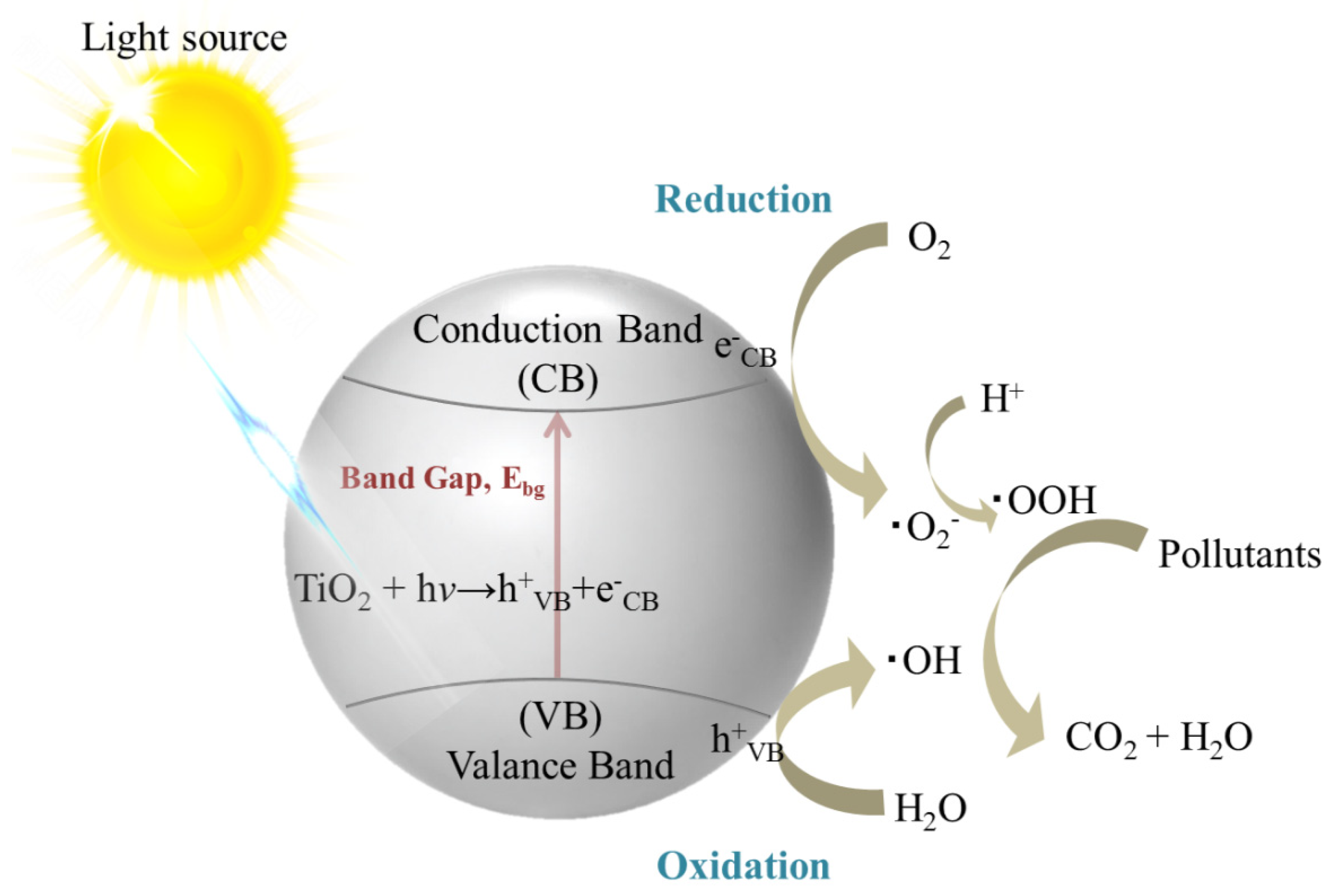 Nanomaterials 11 03195 g002