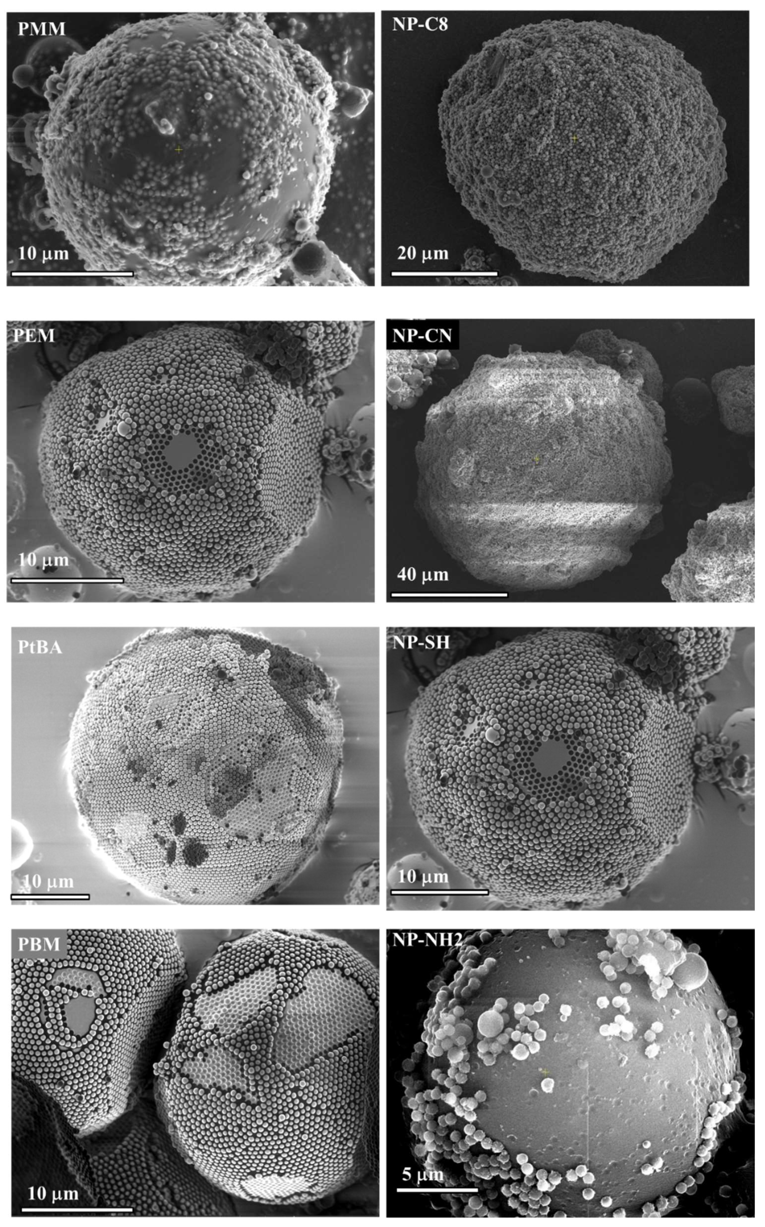 Nanomaterials 11 03200 g001