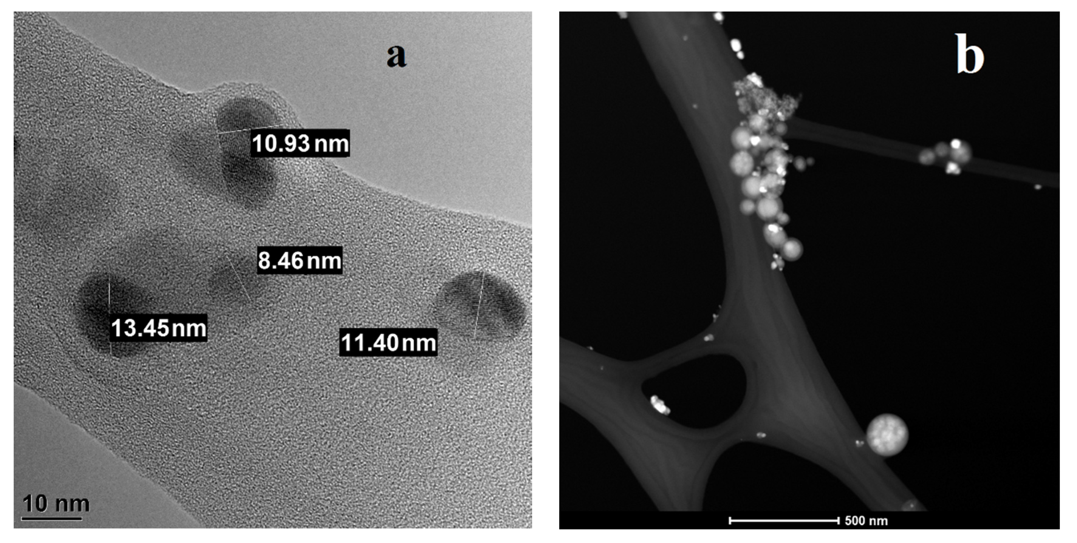 Nanomaterials 11 03204 g003