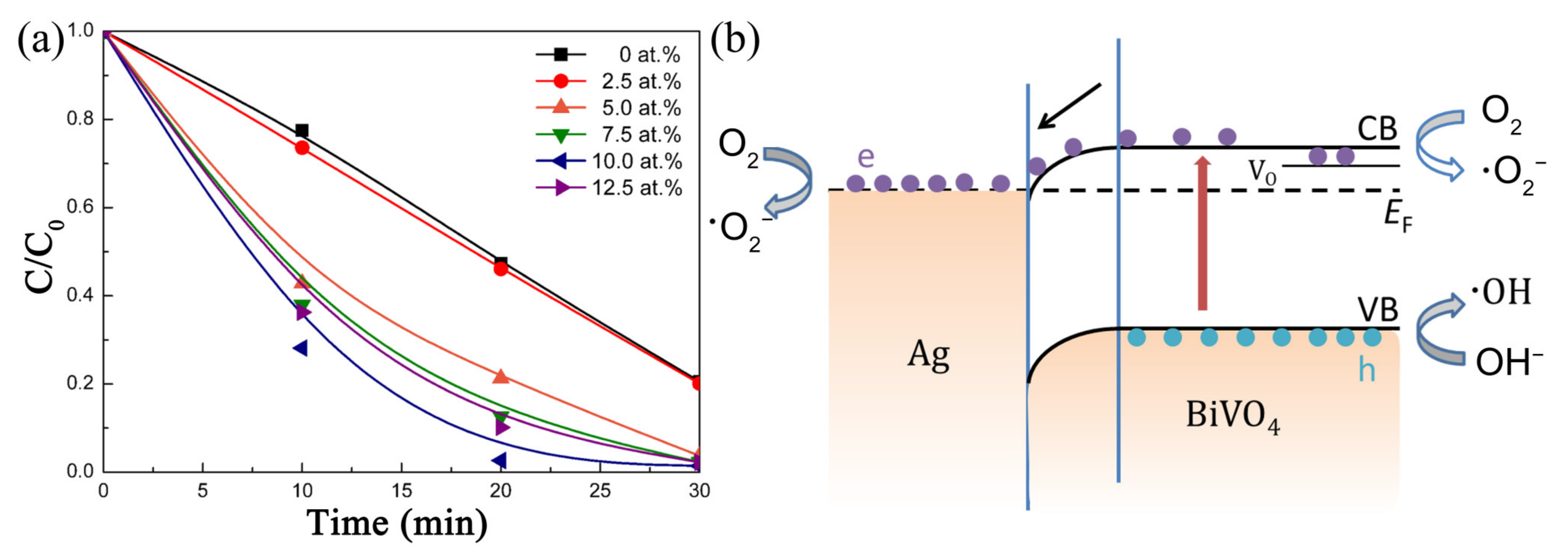 Nanomaterials 11 03221 g010