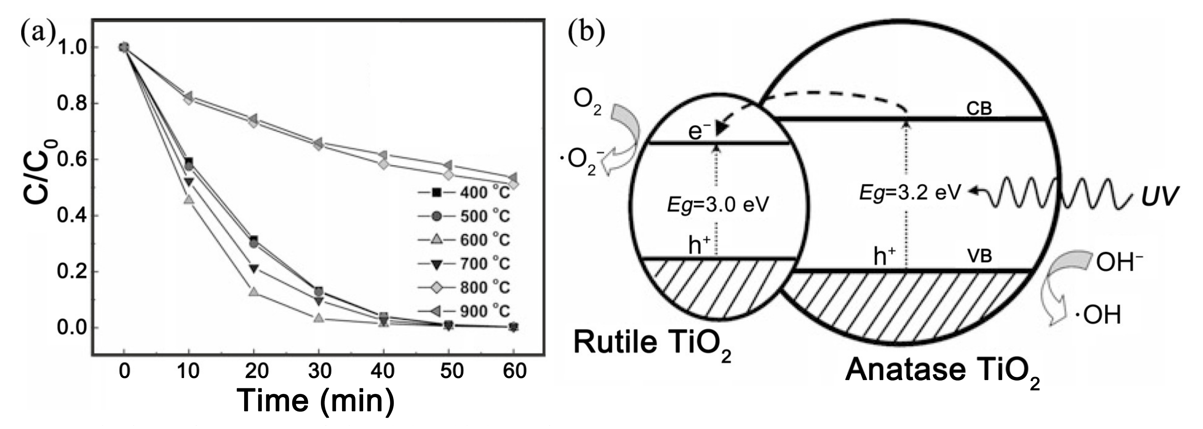 Nanomaterials 11 03221 g012