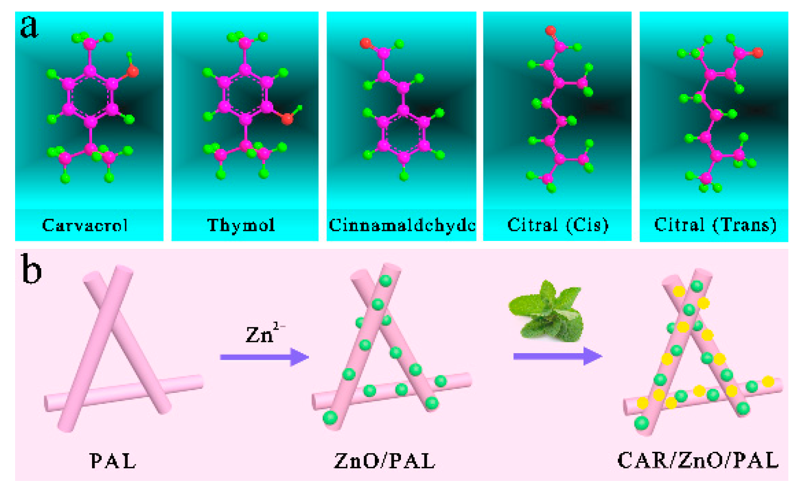 Nanomaterials 11 03230 g001