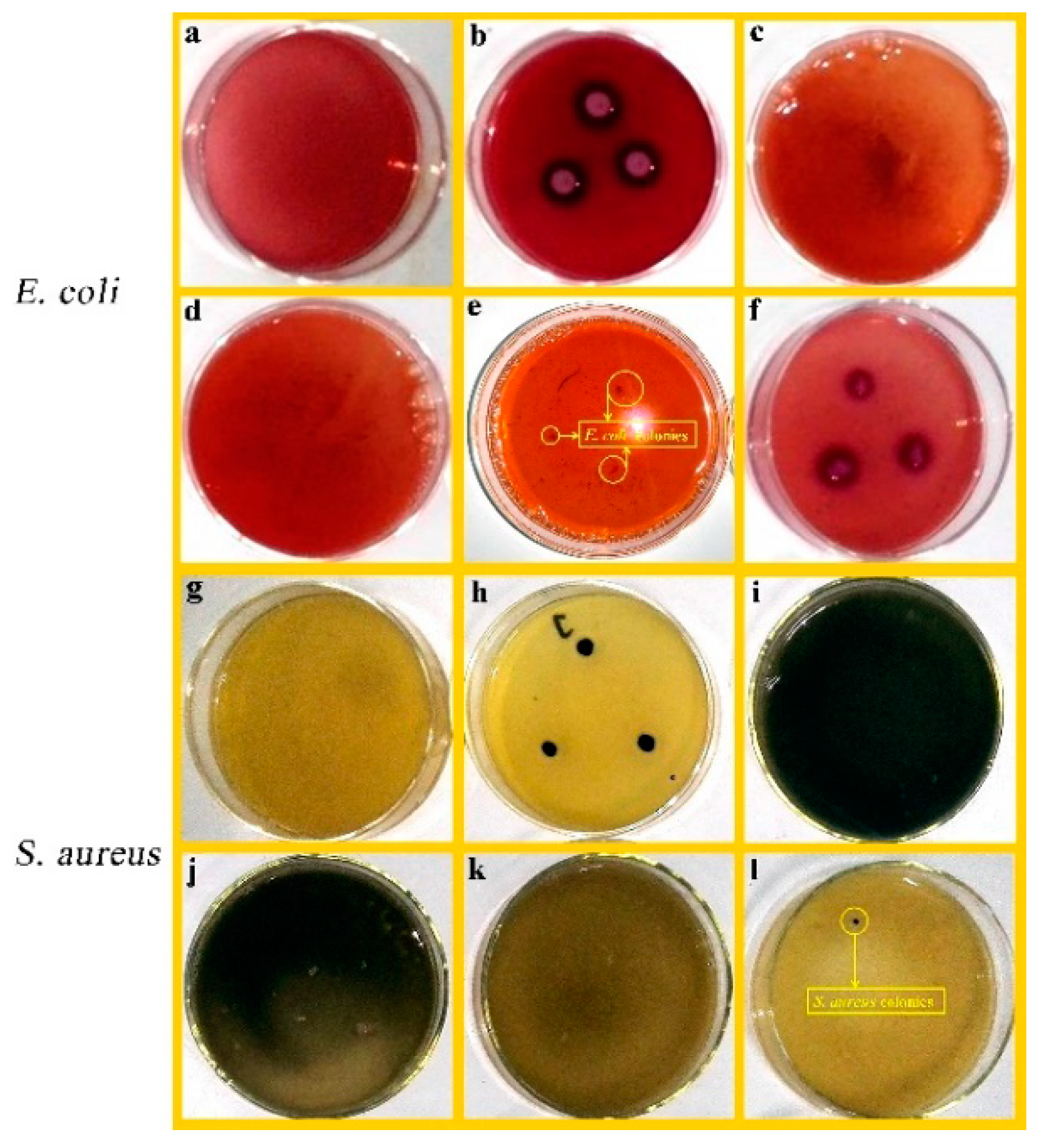 Nanomaterials 11 03230 g007