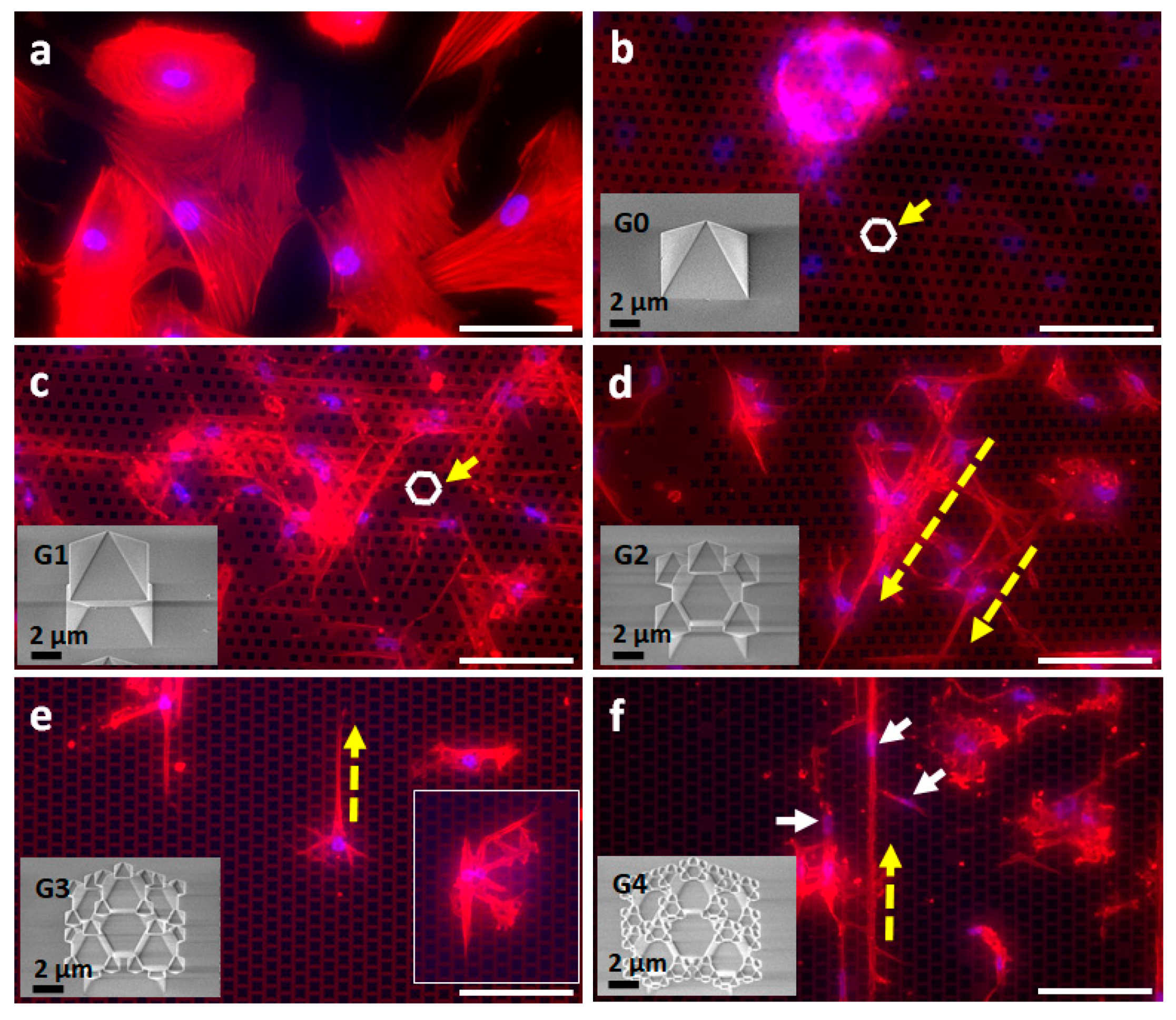 Nanomaterials 11 03233 g002 Nanomaterials 11 03233 g002