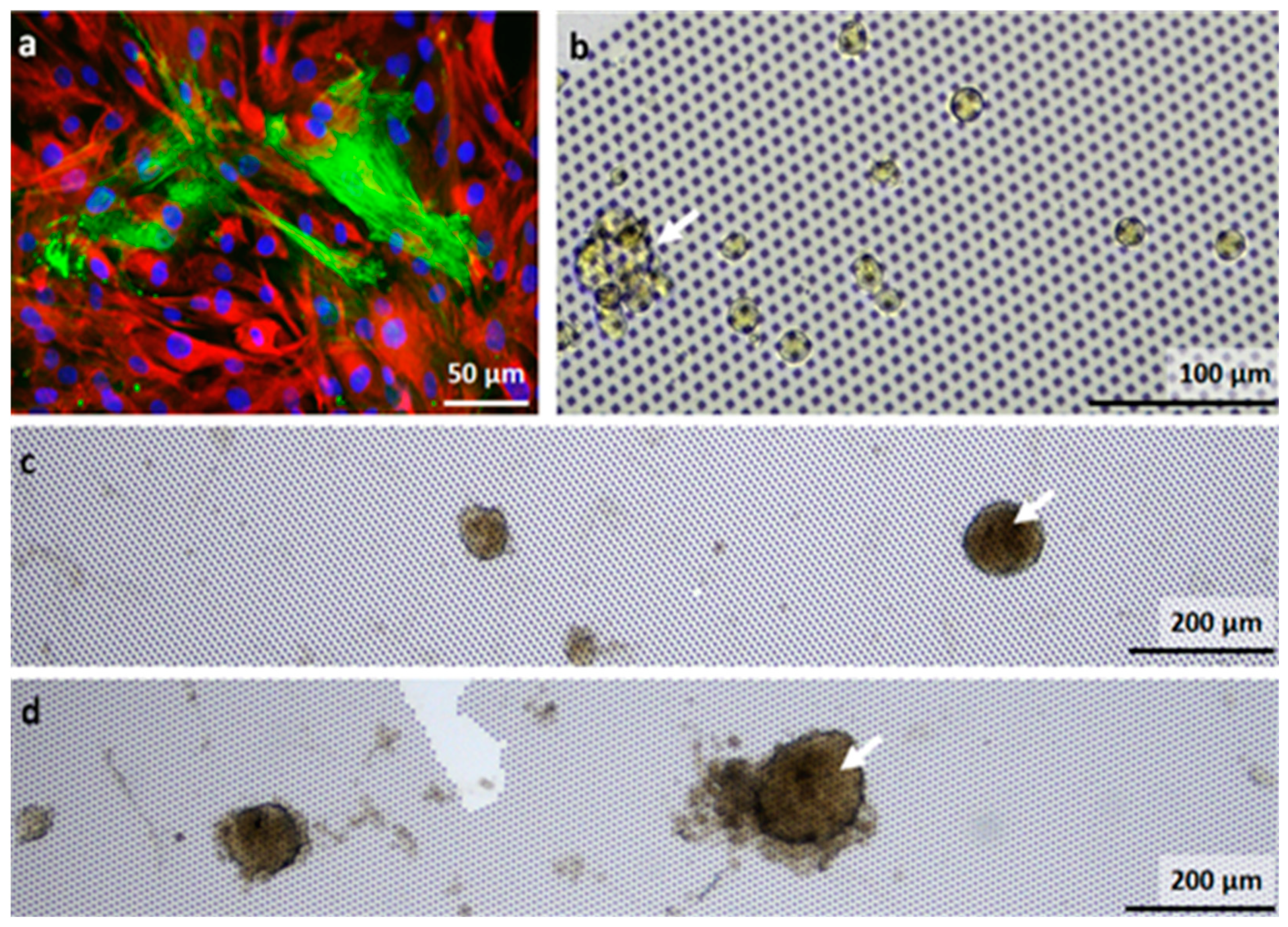 Nanomaterials 11 03233 g004 Nanomaterials 11 03233 g004