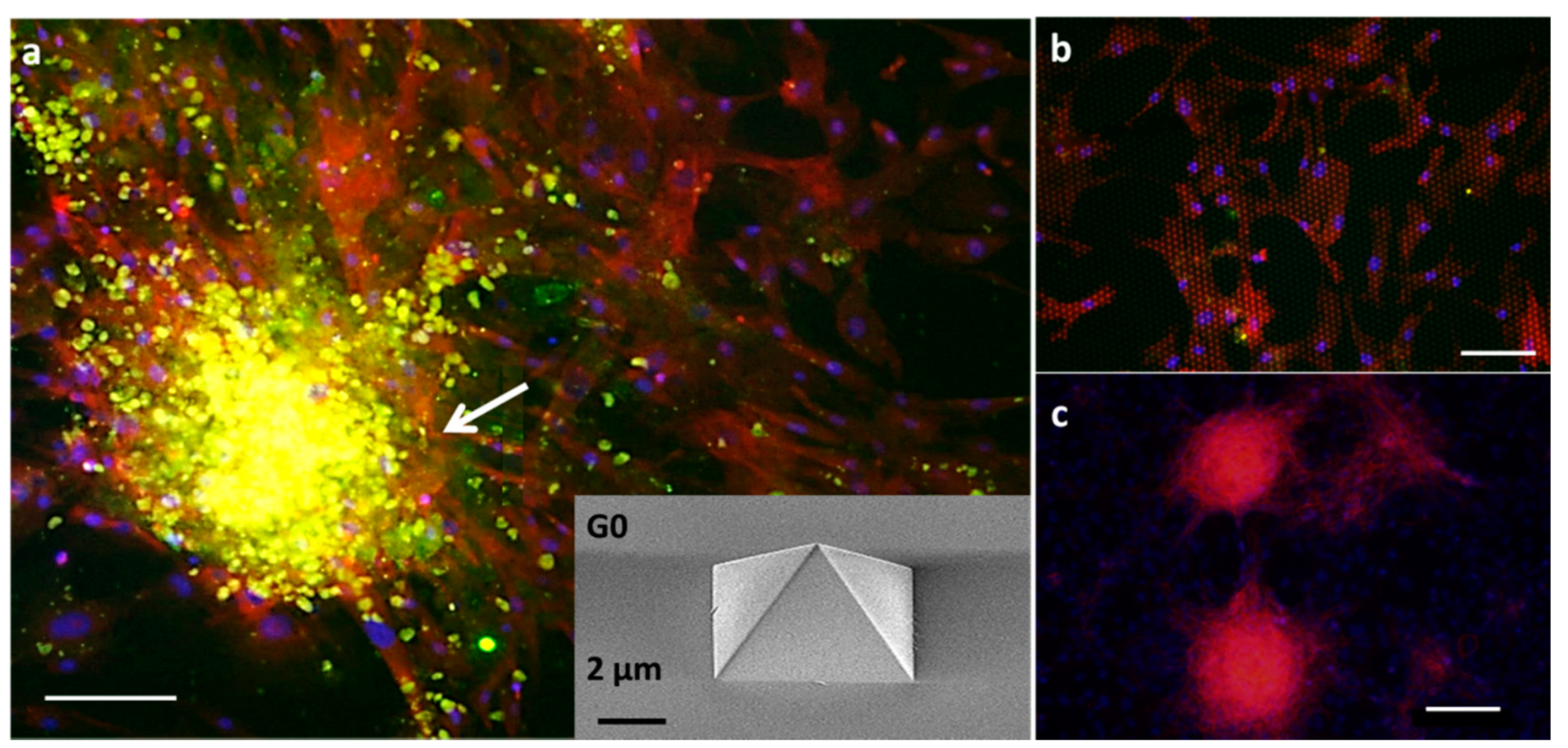 Nanomaterials 11 03233 g005 Nanomaterials 11 03233 g005