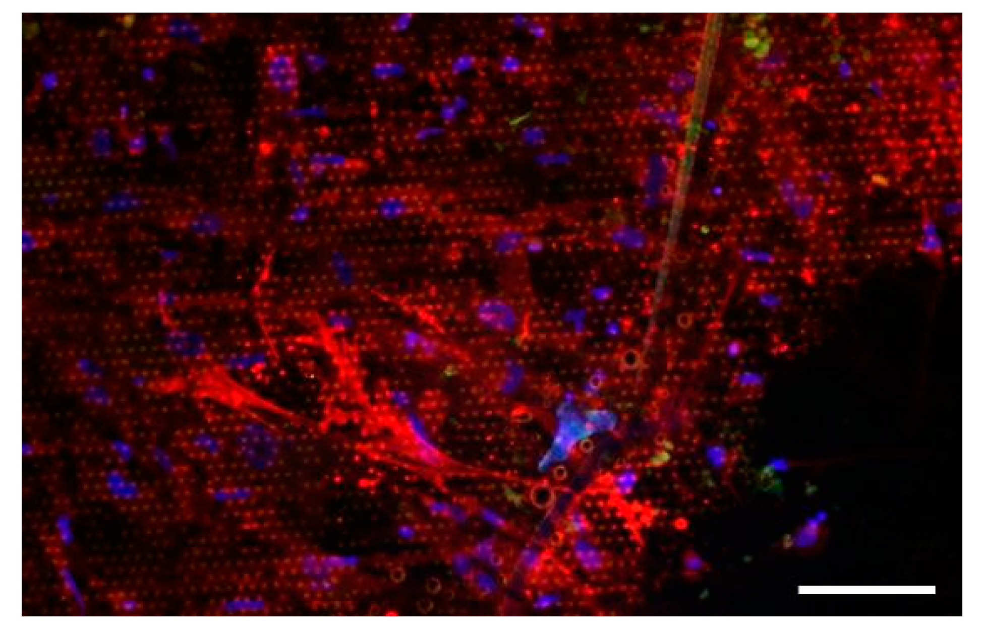 Nanomaterials 11 03233 g006 Nanomaterials 11 03233 g006
