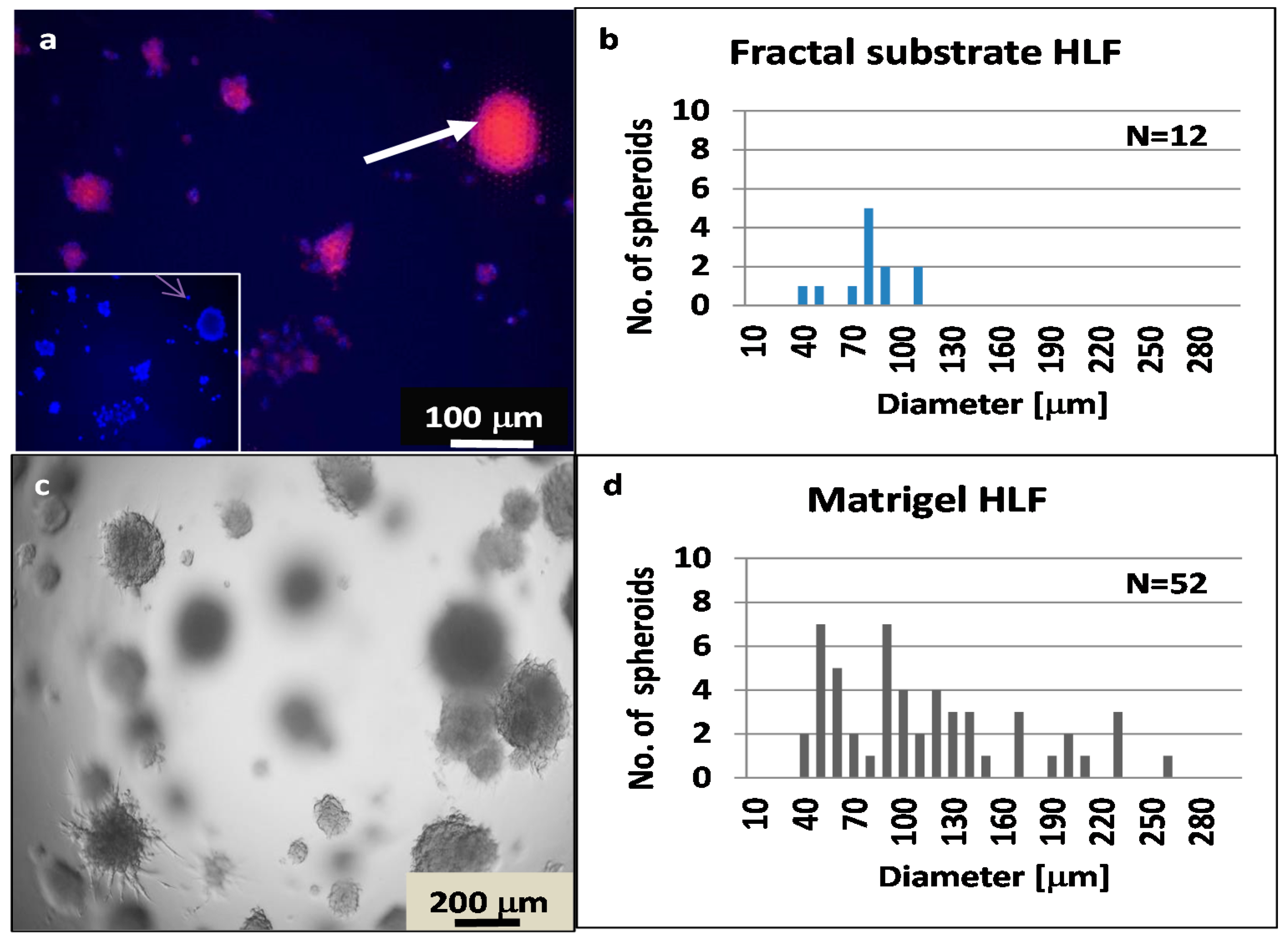 Nanomaterials 11 03233 g007 Nanomaterials 11 03233 g007