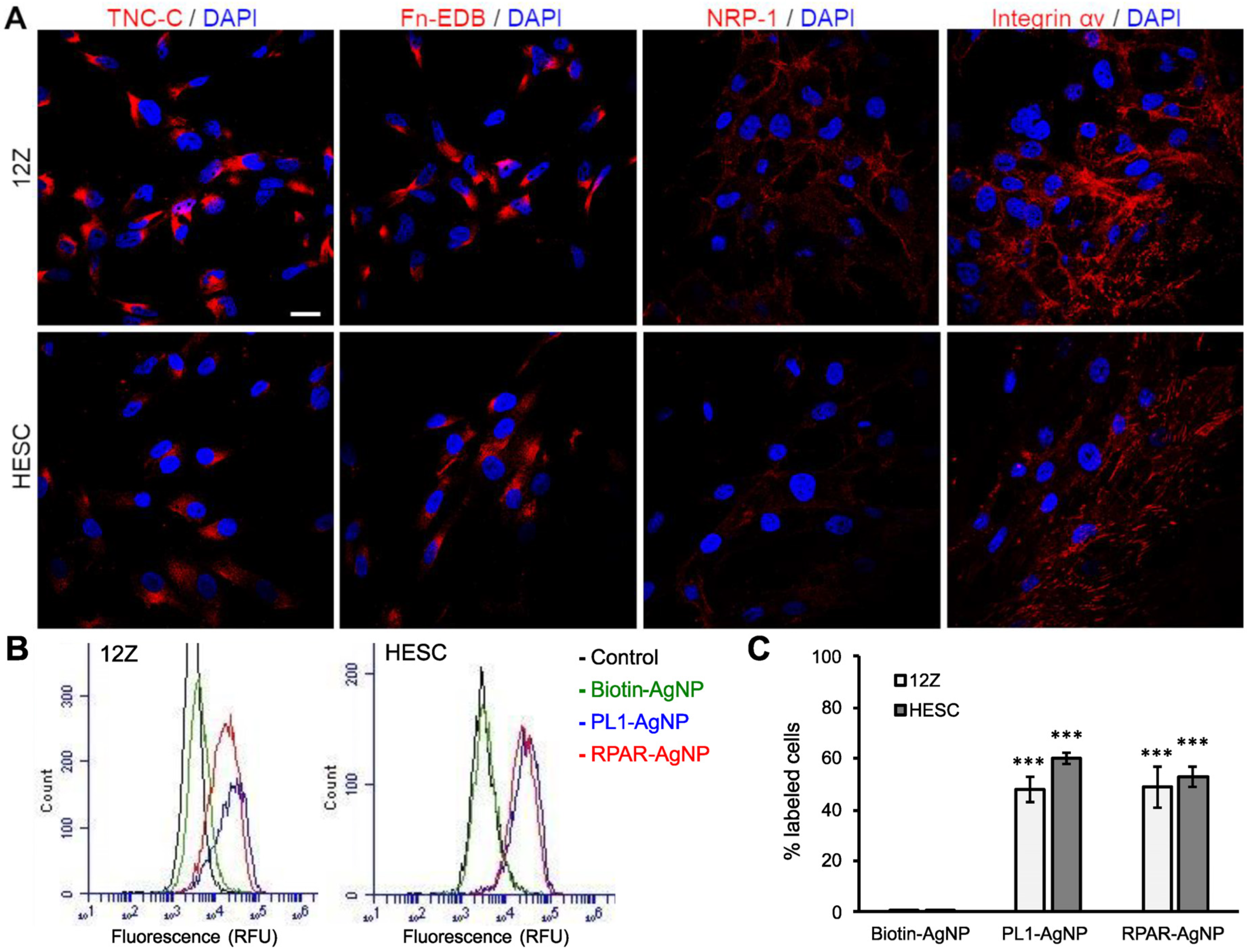 Nanomaterials 11 03257 g002