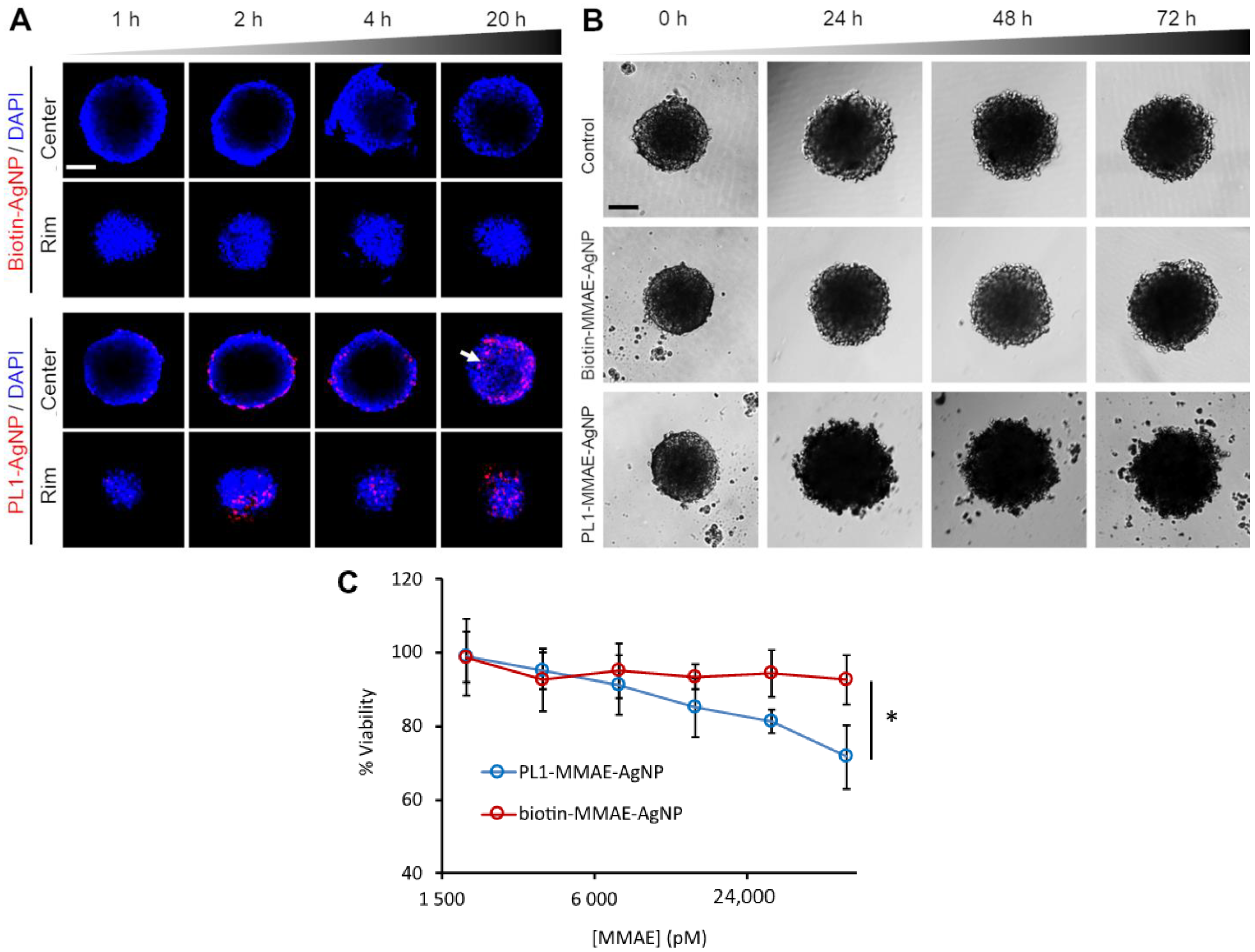 Nanomaterials 11 03257 g004