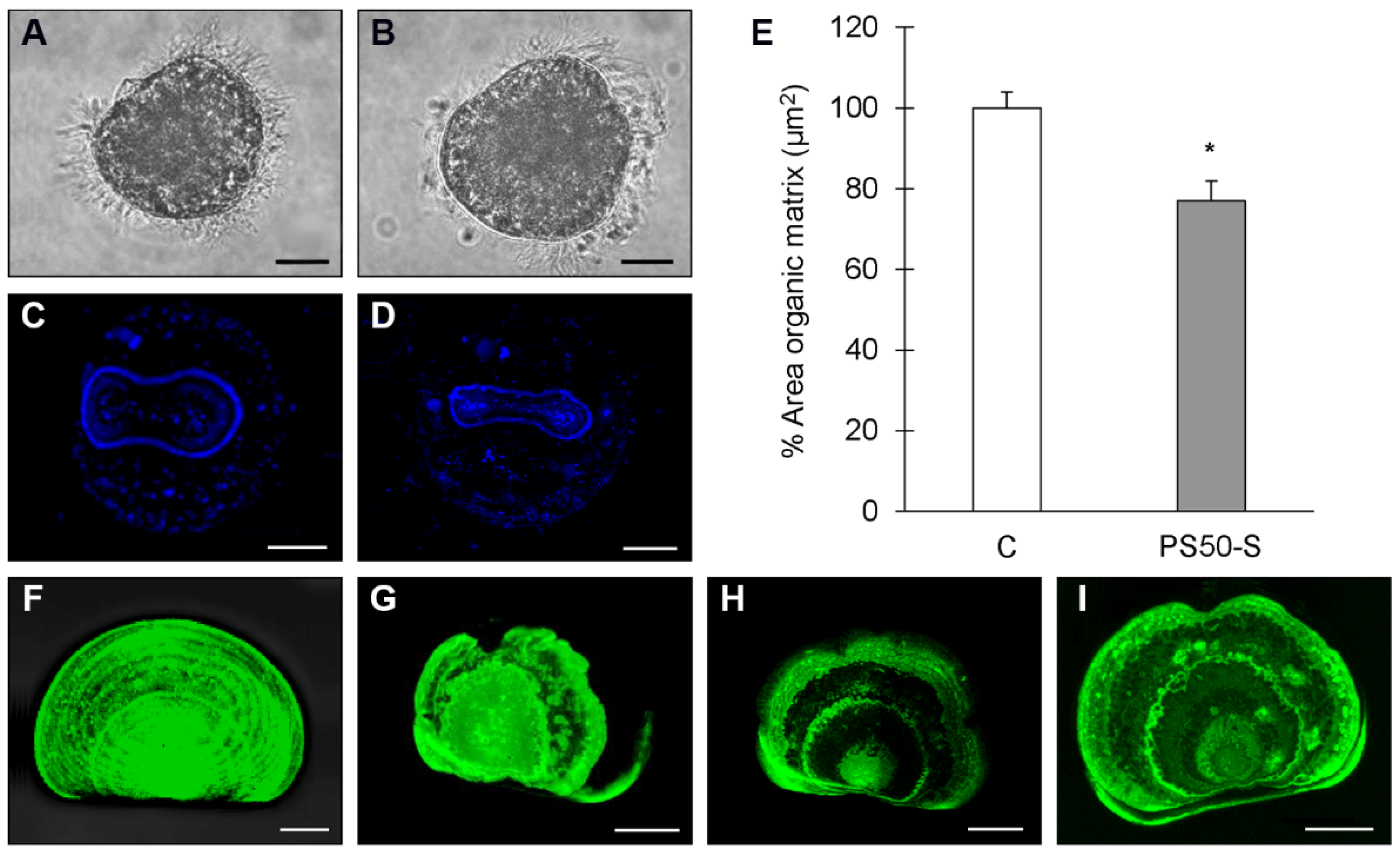Nanomaterials 11 03291 g007