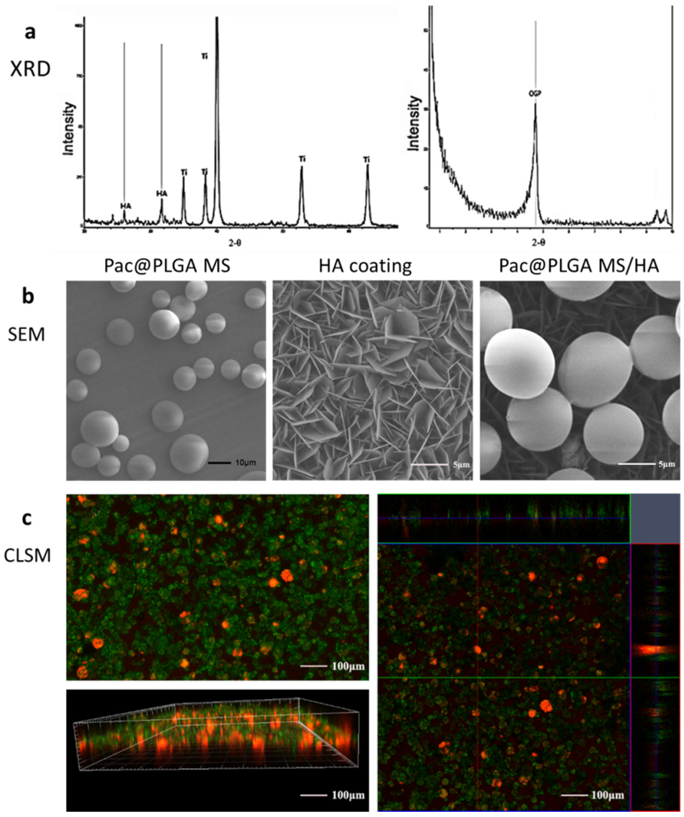 Nanomaterials 11 03306 g001