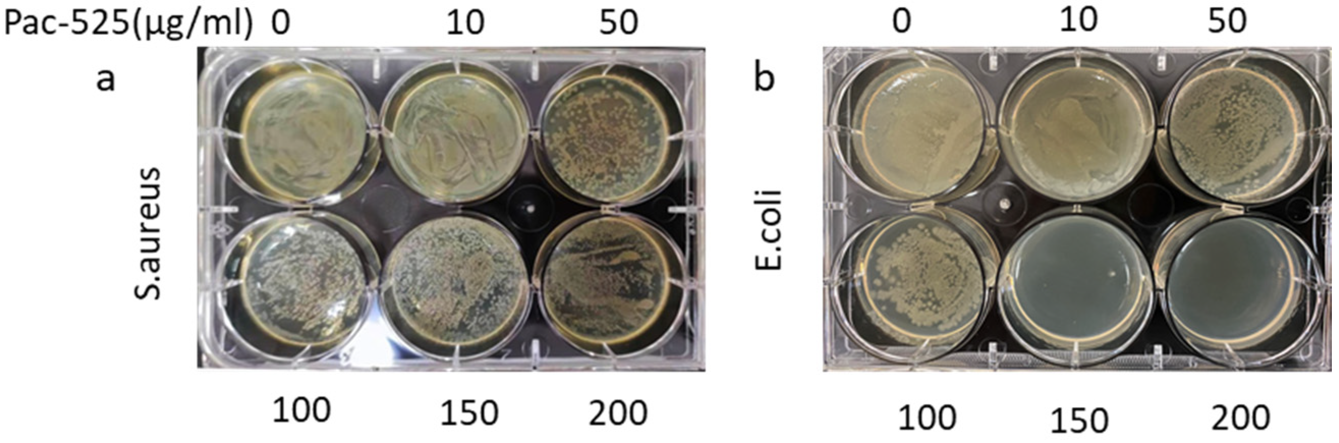 Nanomaterials 11 03306 g005