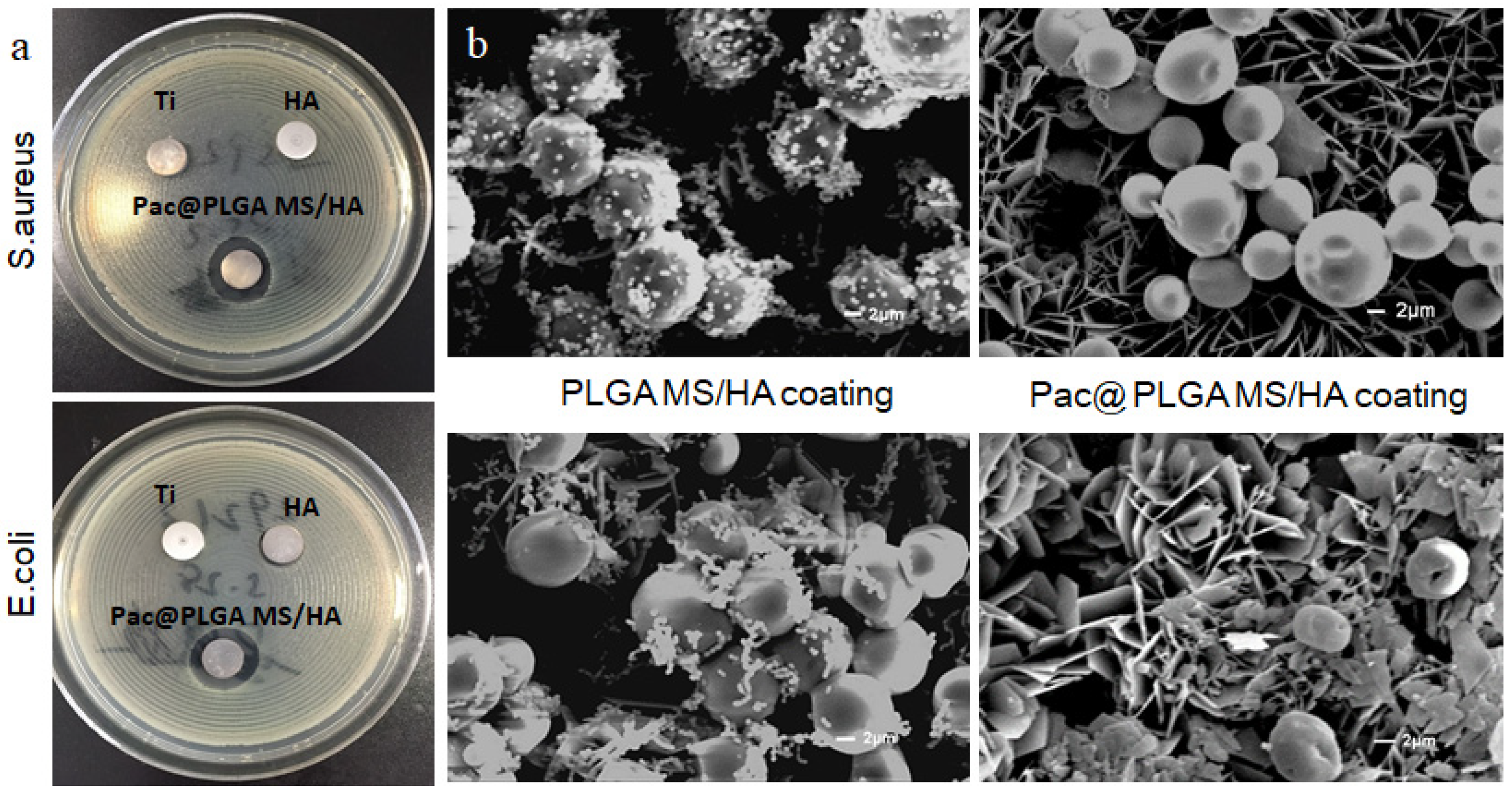 Nanomaterials 11 03306 g006
